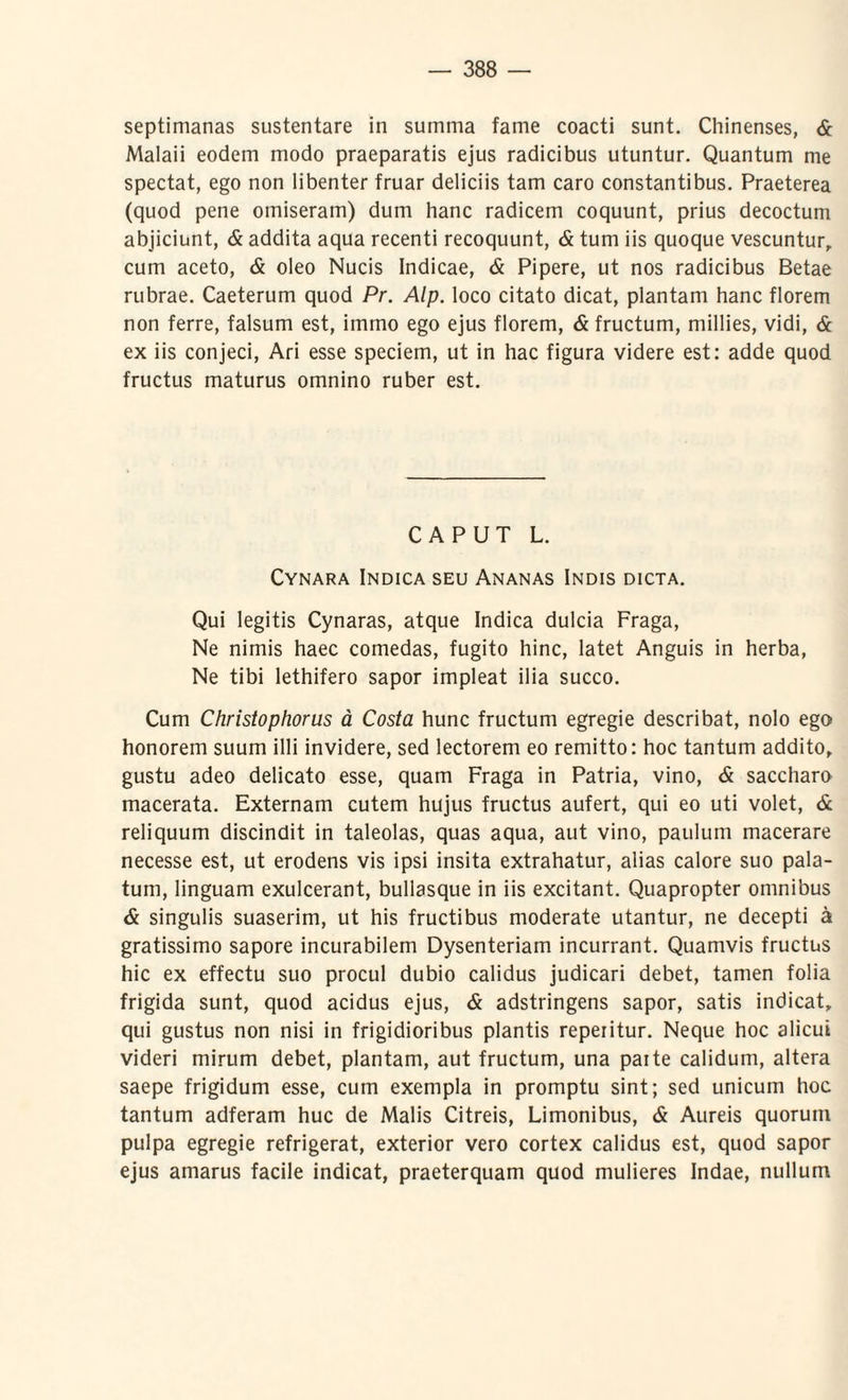 septimanas sustentare in summa fame coacti sunt. Chinenses, & Malaii eodem modo praeparatis ejus radicibus utuntur. Quantum me spectat, ego non libenter fruar deliciis tam caro constantibus. Praeterea (quod pene omiseram) dum hanc radicem coquunt, prius decoctum abjiciunt, & addita aqua recenti recoquunt, & tum iis quoque vescuntur, cum aceto, & oleo Nucis Indicae, & Pipere, ut nos radicibus Betae rubrae. Caeterum quod Pr. Alp. loco citato dicat, plantam hanc florem non ferre, falsum est, irnmo ego ejus florem, & fructum, millies, vidi, & ex iis conjeci, Ari esse speciem, ut in hac figura videre est: adde quod fructus maturus omnino ruber est. CAPUT L. Cynara Indica seu Ananas Indis dicta. Qui legitis Cynaras, atque Indica dulcia Fraga, Ne nimis haec comedas, fugito hinc, latet Anguis in herba, Ne tibi lethifero sapor impleat ilia succo. Cum Christophorus a Costa hunc fructum egregie describat, nolo ego honorem suum illi invidere, sed lectorem eo remitto: hoc tantum addito, gustu adeo delicato esse, quam Fraga in Patria, vino, & saccharo macerata. Externam cutem hujus fructus aufert, qui eo uti volet, & reliquum discindit in taleolas, quas aqua, aut vino, paulum macerare necesse est, ut erodens vis ipsi insita extrahatur, alias calore suo pala¬ tum, linguam exulcerant, bullasque in iis excitant. Quapropter omnibus & singulis suaserim, ut his fructibus moderate utantur, ne decepti a gratissimo sapore incurabilem Dysenteriam incurrant. Quamvis fructus hic ex effectu suo procul dubio calidus judicari debet, tamen folia frigida sunt, quod acidus ejus, & adstringens sapor, satis indicat, qui gustus non nisi in frigidioribus plantis repeiitur. Neque hoc alicui videri mirum debet, plantam, aut fructum, una paite calidum, altera saepe frigidum esse, cum exempla in promptu sint; sed unicum hoc tantum adferam huc de Malis Citreis, Limonibus, & Aureis quorum pulpa egregie refrigerat, exterior vero cortex calidus est, quod sapor ejus amarus facile indicat, praeterquam quod mulieres Indae, nullum