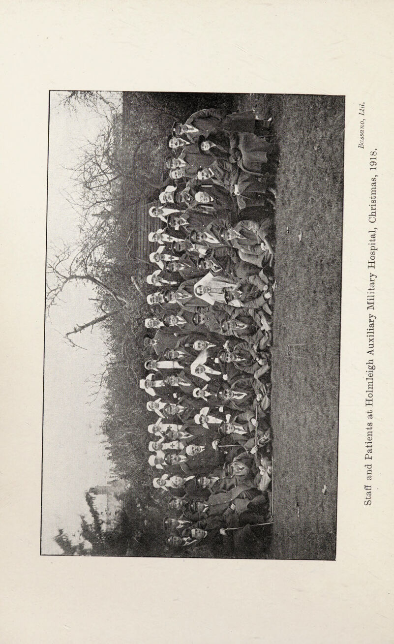 Staff and Patients at Holmleigh Auxiliary Military Hospital, Christmas, 1918.