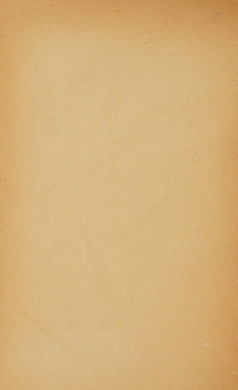 i.-ri-i % ..k‘ ; ' ' : *' ^ ,- ■ ./• ■'V. - &gt; - - ■