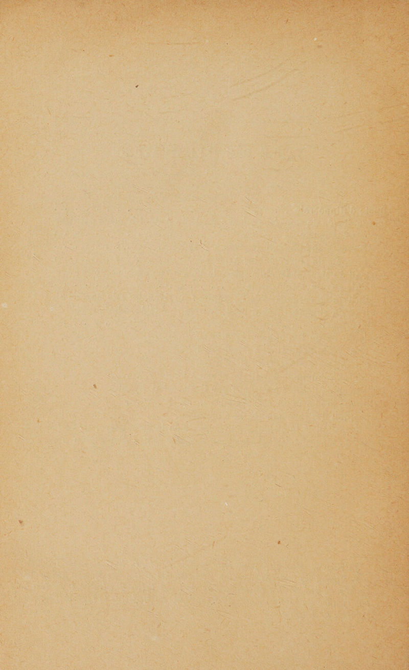 ... • '/-V-v-y. m * V % j ■. - ■ ^ v # -V ■y