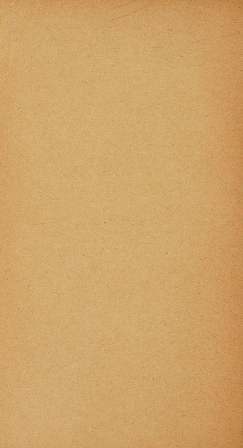 - • ' , * .. &gt;- ■ / - . N- i * :• ■ - - ^*- ' -