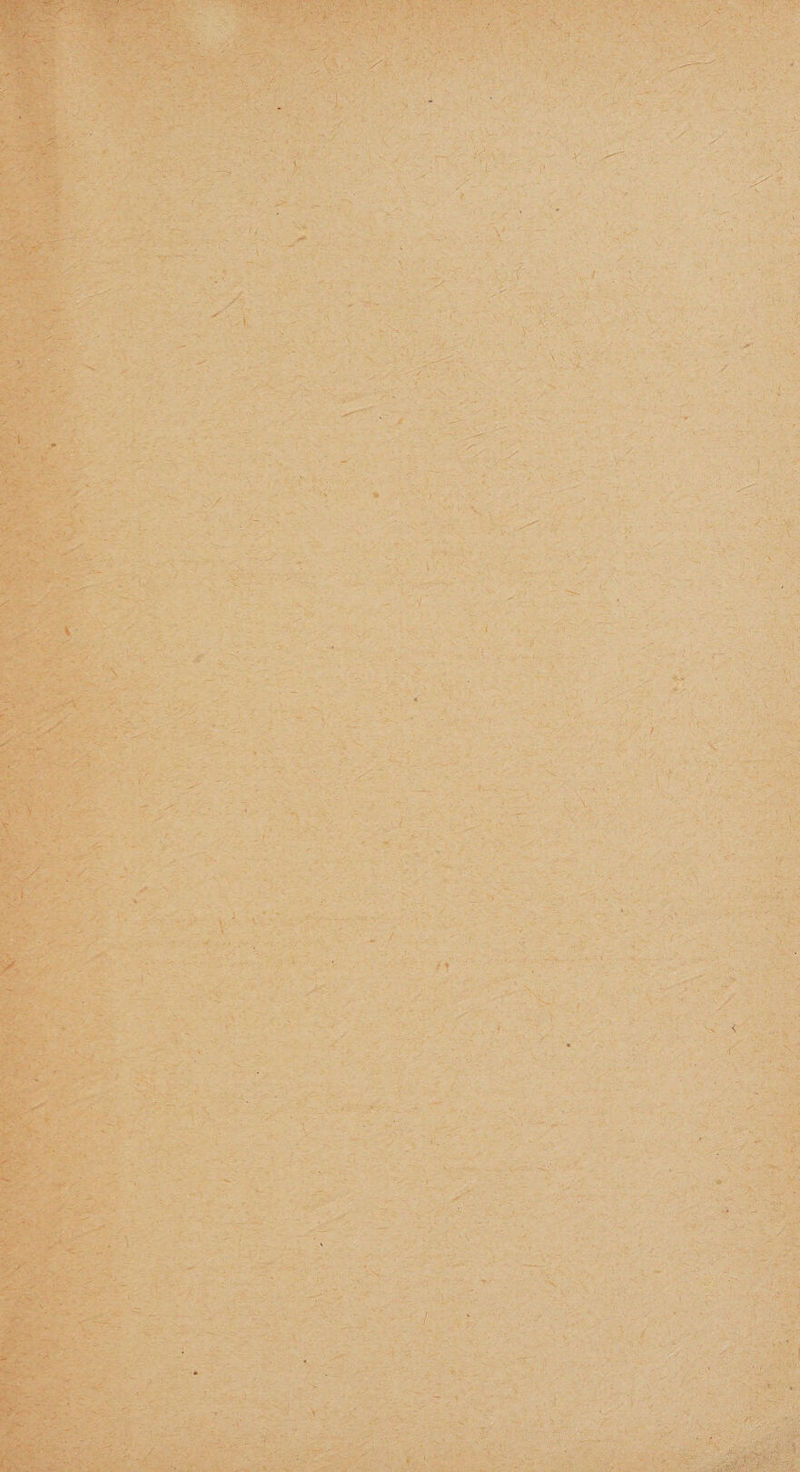 , • --A' \ :L . ; &gt; ; «