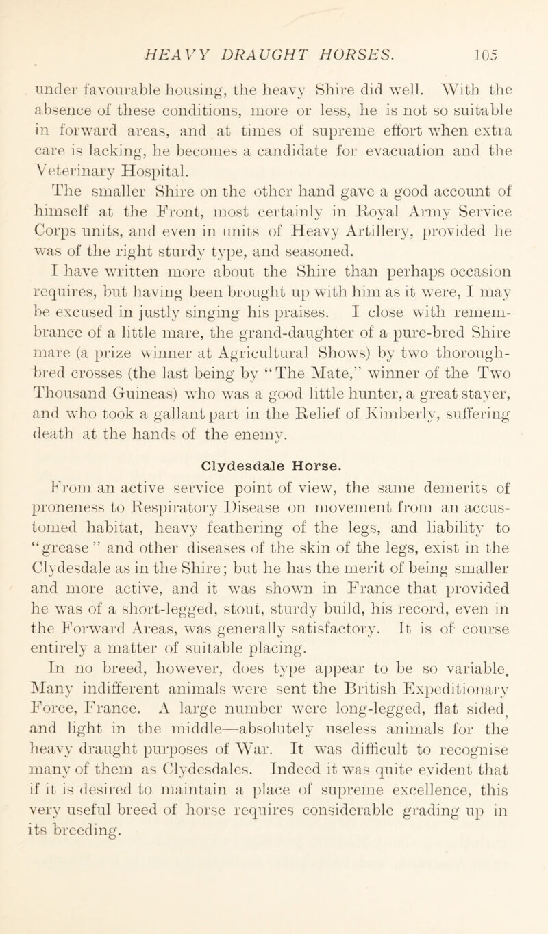 under favourable housing, the heavy Shire did well. With the absence of these conditions, more or less, he is not so suitable in forward areas, and at times of supreme effort when extra care is lacking, he becomes a candidate for evacuation and the Veterinary Hospital. The smaller Shire on the other hand gave a good account of himself at the Front, most certainly in Boyal Army Service Corps units, and even in units of Heavy Artillery, provided he was of the right sturdy type, and seasoned. I have written more about the Shire than perhaps occasion requires, but having been brought up with him as it were, I may be excused in justly singing his praises. I close with remem¬ brance of a little mare, the grand-daughter of a pure-bred Shire mare (a prize winner at Agricultural Shows) by two thorough¬ bred crosses (the last being by “The Mate,” winner of the Two Thousand Guineas) who was a good little hunter, a great stayer, and who took a gallant part in the Belief of Kimberly, suffering death at the hands of the enemy. Clydesdale Horse. From an active service point of view, the same demerits of proneness to Bespiratory Disease on movement from an accus¬ tomed habitat, heavy feathering of the legs, and liability to “grease ” and other diseases of the skin of the legs, exist in the Clydesdale as in the Shire; but he has the merit of being smaller and more active, and it was shown in France that provided he was of a short-legged, stout, sturdy build, his record, even in the Forward Areas, was generally satisfactory. It is of course entirely a matter of suitable placing. In no breed, however, does type appear to be so variable. Many indifferent animals were sent the British Expeditionary Force, France. A large number were long-legged, flat sided; and light in the middle—absolutely useless animals for the heavy draught purposes of War. It was difficult to recognise many of them as Clydesdales. Indeed it was quite evident that if it is desired to maintain a place of supreme excellence, this very useful breed of horse requires considerable grading up in its breeding.