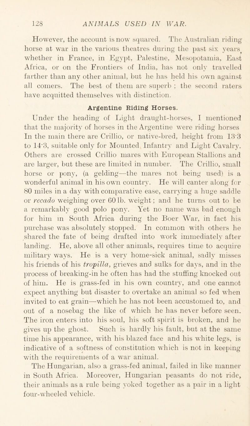However, the account is now squared. The Australian riding horse at war in the various theatres during the past six years whether in France, in Egypt, Palestine, Mesopotamia, East Africa, or on the Frontiers of India, has not onlv travelled farther than any other animal, but he has held his own against all comers. The best of them are superb ; the second raters have acquitted themselves with distinction. Argentine Riding Horses. Under the heading of Light draught-horses, I mentioned that the majority of horses in the Argentine were riding horses In the main there are Crillio, or native-bred, height from 13'3 to 14'3, suitable only for Mounted Infantry and Light Cavalry. Others are crossed Crillio mares with European Stallions and are larger, but these are limited in number. The Crillio, small horse or pony, (a gelding—the mares not being used) is a wonderful animal in his own country. He will canter along for 80 miles in a da}’ with comparative ease, carrying a huge saddle or recado weighing over GO lb. weight; and he turns out to he a remarkably good polo pony. Yet no name was had enough for him m South Africa during the Boer War, in fact his purchase w’as absolutely stopped. In common with others he shared the fate of being drafted into work immediately after landing. He, above all other animals, requires time to acquire military ways. He is a very home-sick animal, sadly misses his friends of his tropilla, grieves and sulks for days, and in the process of breaking-in he often has had the stuffing knocked out of him. He is grass-fed in his own country, and one cannot expect anything but disaster to overtake an animal so fed when invited to eat grain—which he has not been accustomed to, and out of a nosebag the like of which he has never before seen. The iron enters into his soul, his soft spirit is broken, and he gives up the ghost. Such is hardly his fault, but at the same time his appearance, with his blazed face and his white legs, is indicative of a softness of constitution which is not in keeping with the requirements of a w^ar animal. The Hungarian, also a grass-fed animal, failed in like manner in South Africa. Moreover, Hungarian peasants do not ride, their animals as a rule being yoked together as a pair in a light four-wheeled vehicle.