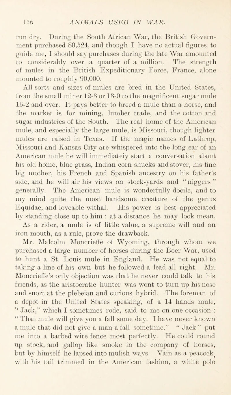 run dry. During the South African War, the British Govern¬ ment purchased 80,524, and though I have no actual figures to guide me, I should say purchases during the late War amounted to considerably over a quarter of a million. The strength of mules in the British Expeditionary Force, France, alone mounted to roughly 90,000. All sorts and sizes of mules are bred in the United States, from the small miner 12-3 or 13-0 to the magnificent sugar mule 16-2 and over. It pays better to breed a mule than a horse, and the market is for mining, lumber trade, and the cotton and sugar industries of the South. The real home of the American mule, and especially the large mule, is Missouri, though lighter mules are raised in Texas. If the magic names of Fatlirop, Missouri and Kansas City are whispered into the long ear of an American mule he will immediately start a conversation about his old home, blue grass, Indian corn shucks and stover, his fine big mother, his French and Spanish ancestry on his father’s side, and he will air his views on stock-yards and “niggers” generally. The American mule is wonderfully docile, and to my mind quite the most handsome creature of the genus Fquidae, and loveable withal. His power is best appreciated by standing close up to him : at a distance he may look mean. As a rider, a mule is of little value, a supreme will and an iron mouth, as a rule, prove the drawback. Mr. Malcolm Moncrieffe of Wyoming, through whom we purchased a large number of horses during the Boer War, used to hunt a St. Fouis mule in England. He was not equal to taking a line of his own but he followed a lead all right. Mr. Moncrieffe’s only objection was that he never could talk to his friends, as the aristocratic hunter was wont to turn up his nose and snort at the plebeian and curious hybrid. The foreman of a depot in the United States speaking, of a 14 hands mule, ‘‘ Jack,” which I sometimes rode, said to me on one occasion : “ That mule will give you a fall some day. I have never known a mule that did not give a man a fall sometime.” “ Jack ” put me into a barbed wire fence most perfectly. He could round up stock, and gallop like smoke in the company of horses, but by himself he lapsed into mulish ways. Vain as a peacock^ with his tail trimmed in the American fashion, a white polo