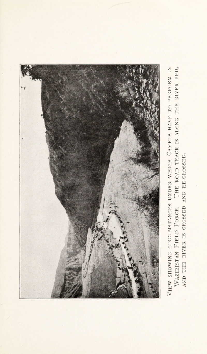 View showing circumstances under which Camels have to perform in Waziristan Field Force. The road track is along the river bed, and the river is crossed and re-crossed.