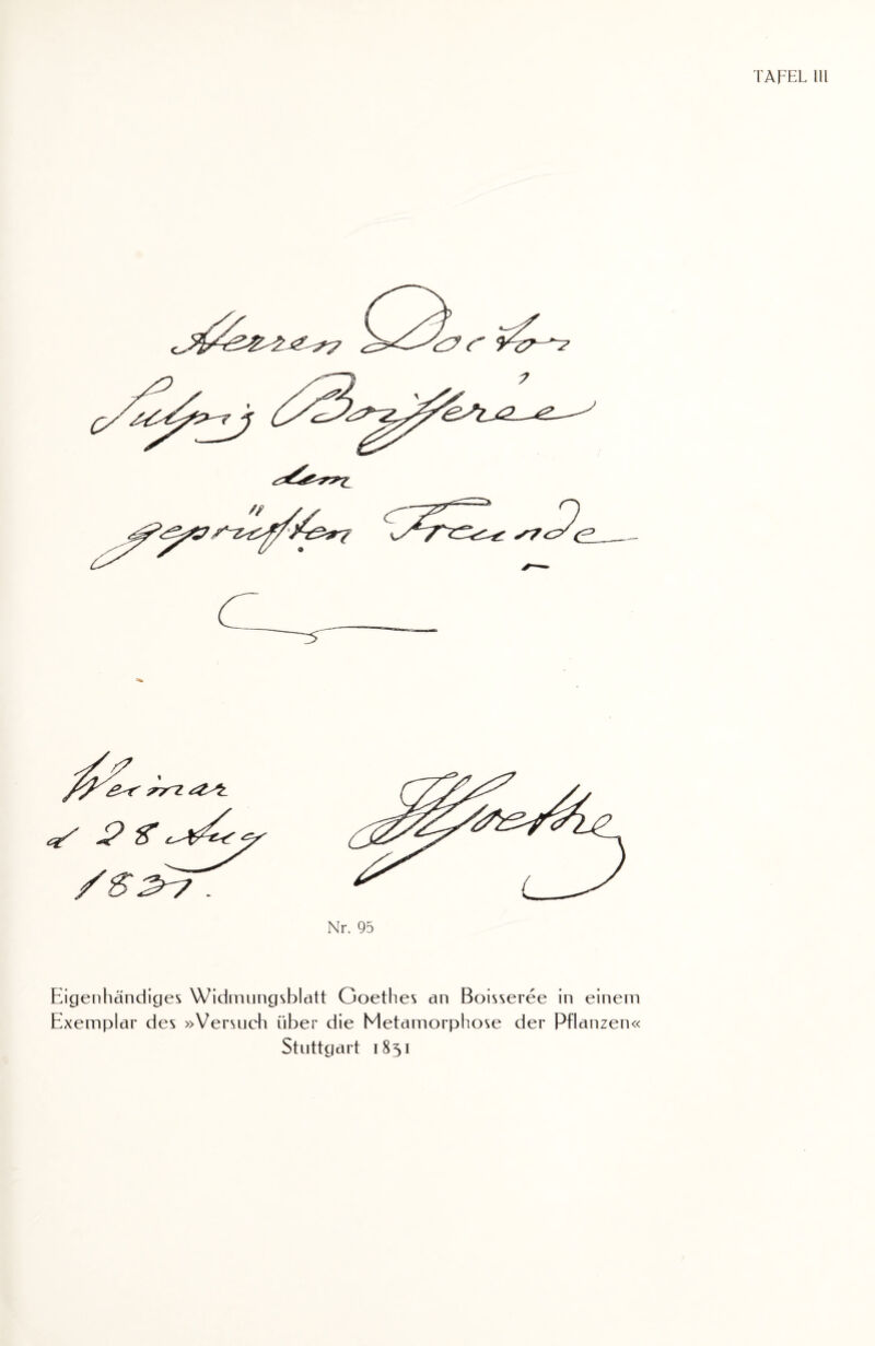 TAFEL 111 Eigenhändiges Widmungsblatt Goethes an Boisseree in einem Exemplar des »Versuch über die Metamorphose der Pflanzen« Stuttgart 1851