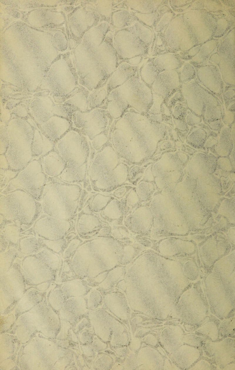 fft* .  * • • ¿fe ■ %•. v