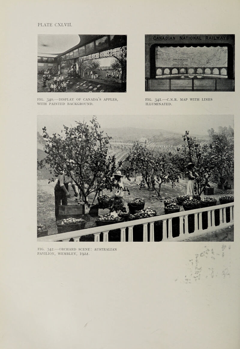 FIG. 34O.—DISPLAY OF CANADA’S APPLES, WITH PAINTED BACKGROUND. FIG. 341.—C.N.R. MAP WITH LINES ILLUMINATED. FIG. 342.—ORCHARD SCENE : AUSTRALIAN