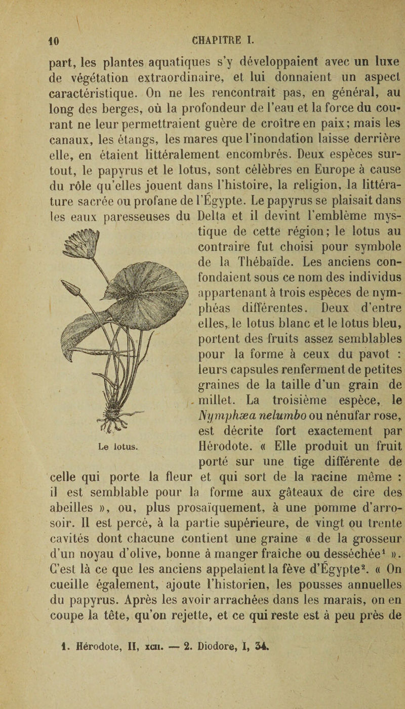 part, les plantes aquatiques s’y développaient avec un luxe de végétation extraordinaire, et lui donnaient un aspect caractéristique. On ne les rencontrait pas, en général, au long des berges, où la profondeur de l’eau et la force du cou¬ rant ne leur permettraient guère de croître en paix; mais les canaux, les étangs, les mares que l’inondation laisse derrière elle, en étaient littéralement encombrés. Deux espèces sur¬ tout, le papyrus et le lotus, sont célèbres en Europe à cause du rôle qu’elles jouent dans l’histoire, la religion, la littéra¬ ture sacrée ou profane de l’Égypte. Le papyrus se plaisait dans les eaux paresseuses du Delta et il devint l’emblème mys¬ tique de cette région; le lotus au contraire fut choisi pour symbole de la Thébaïde. Les anciens con¬ fondaient sous ce nom des individus appartenant à trois espèces de nym¬ phéas différentes. Deux d’entre elles, le lotus blanc et le lotus bleu, portent des fruits assez semblables pour la forme à ceux du pavot ; leurs capsules renferment de petites graines de la taille d’un grain de . millet. La troisième espèce, le ISyynphæa nelumbo ou nénufar rose, est décrite fort exactement par Le lotus. Hérodote. « Elle produit un fruit porté sur une tige différente de celle qui porte la fleur et qui sort de la racine meme : il est semblable pour la forme aux gâteaux de cire des abeilles », ou, plus prosaïquement, à une pomme d’arro¬ soir. Il est percé, à la partie supérieure, de vingt ou trente cavités dont chacune contient une graine « de la grosseur d’un noyau d’olive, bonne à manger fraîche ou desséchée1 ». C’est là ce que les anciens appelaient la fève d’Égypte2. « On cueille également, ajoute l’historien, les pousses annuelles du papyrus. Après les avoir arrachées dans les marais, on en coupe la tête, qu’on rejette, et ce qui reste est à peu près de 1. Hérodote, II, xcii. — 2. Diodore, I, 34.
