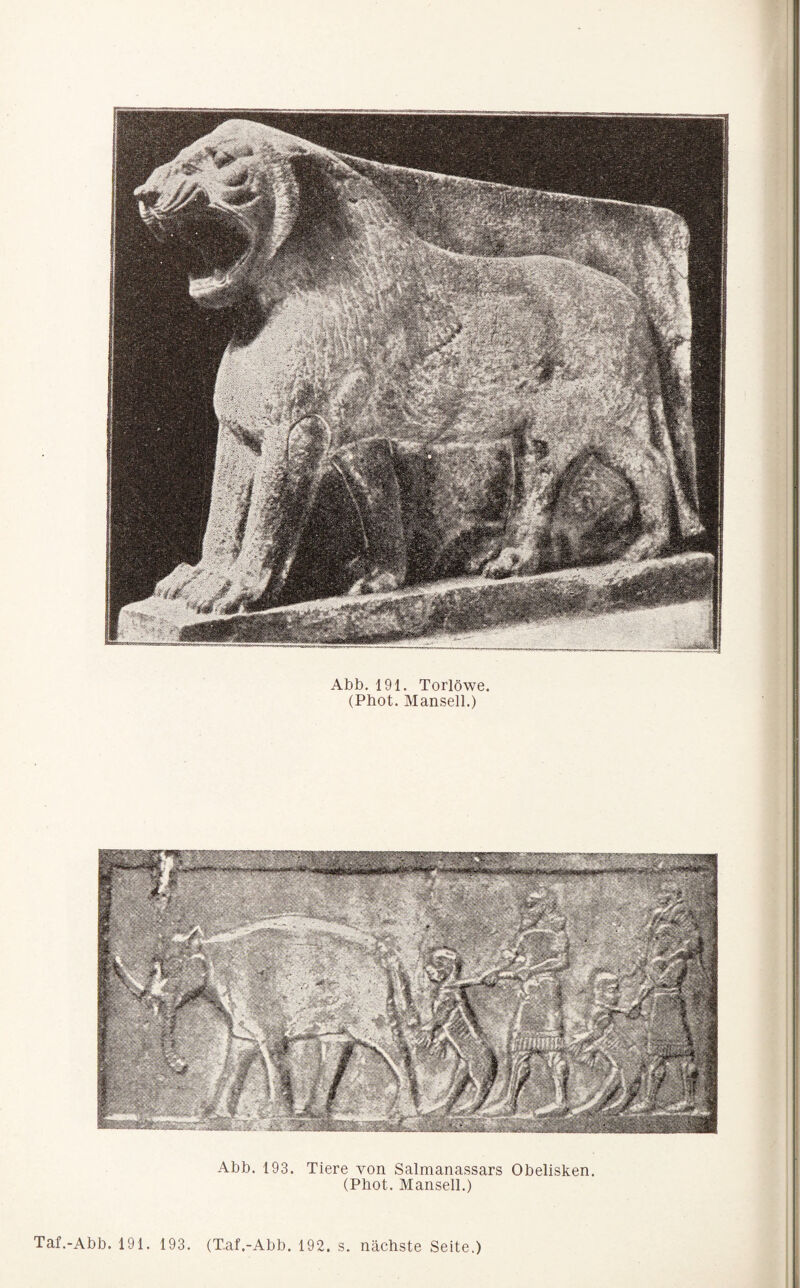 (Phot. Mansell.) Taf.-Abb. 191. 193. (T.af.-Abb. 192. s. nächste Seite.) St *1 iii ;L