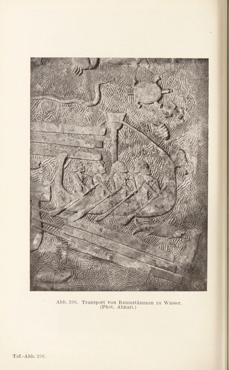(Phot. Alinari.) . I Taf.-Abb. 206.
