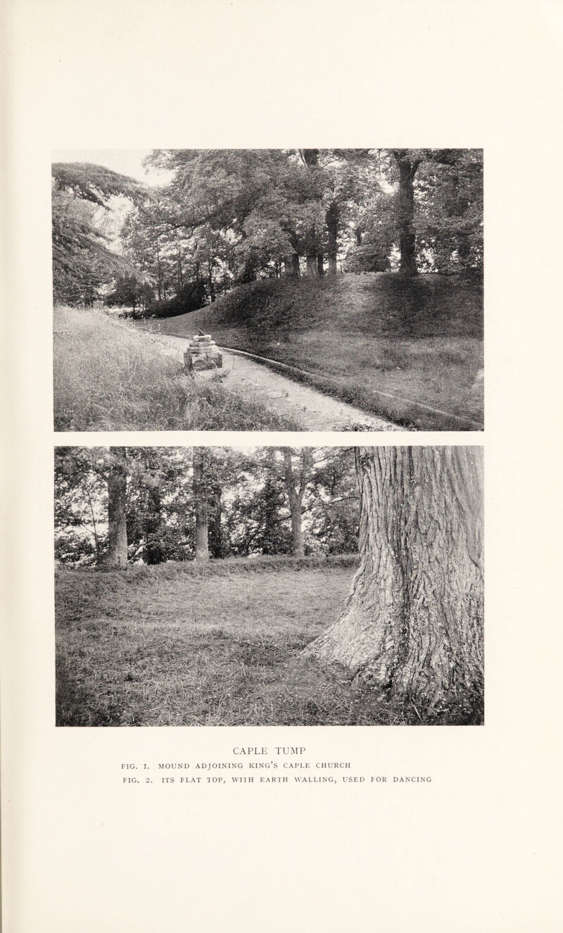 CAPLE TUMP FIG. I. MOUND ADJOINING KING’S CAPLE CHURCH FIG. 2. ITS FLAT TOP, WITH EARTH WALLING, USED FOR DANCING