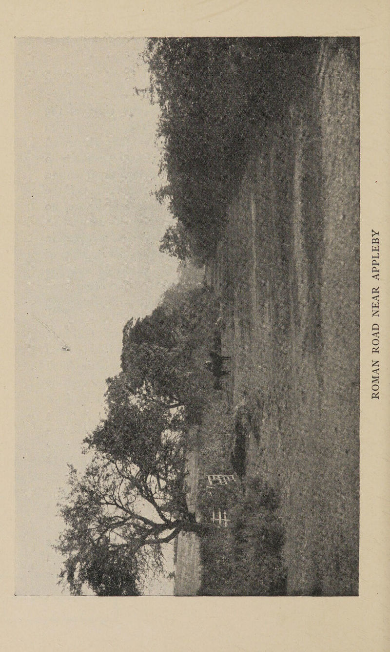 ROMAN ROAD NEAR APPLEBY