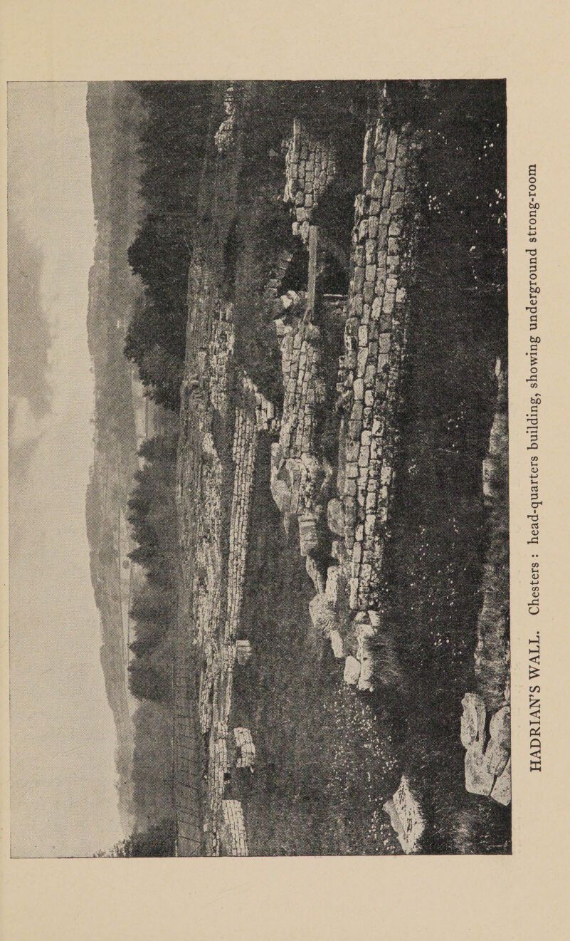HADRIAN’S WALL. Chesters : head-quarters building, showing underground strong-room