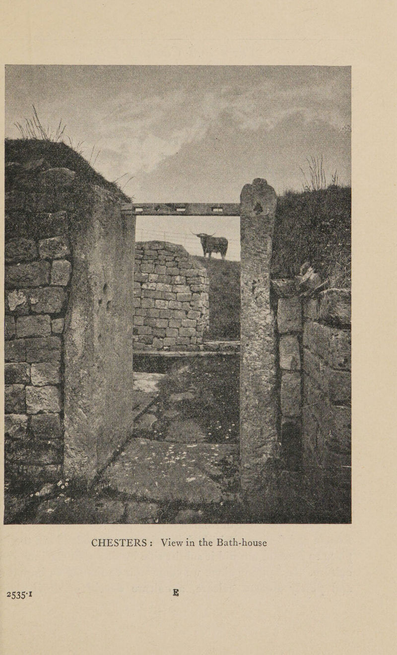 CHESTERS : View in the Bath-house 2535-1 E