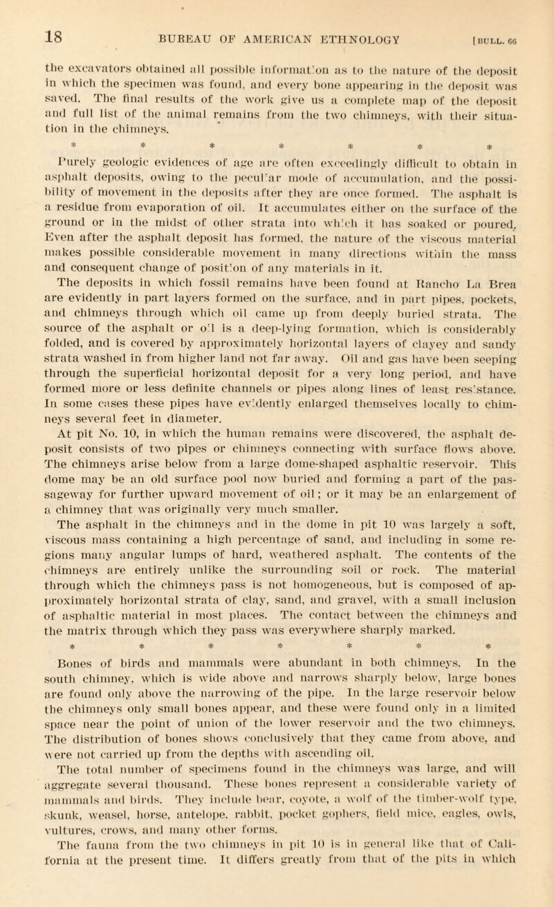 the excavators obtained all possible information as to the nature of the deposit in which the specimen was found, and every bone appearing in the deposit was saved. The linal results of the work give us a complete map of the deposit and full list of the animal remains from the two chimneys, with their situa¬ tion in the chimneys. ******* Purely geologic evidences of age are often exceedingly difficult to obtain in asphalt deposits, owing to the peculiar mode of accumulation, and the possi¬ bility of movement in the deposits after they are once formed. The asphalt is a residue from evaporation of oil. It accumulates either on the surface of the ground or in the midst of other strata into which it has soaked or poured. Even after the asphalt deposit has formed, the nature of the viscous material makes possible considerable movement in many directions within the mass and consequent change of position of any materials in it. The deposits in which fossil remains have been found at Rancho La Brea are evidently in part layers formed on the surface, and in part pipes, pockets, and chimneys through which oil came up from deeply buried strata. The source of the asphalt or oil is a deep-lying formation, which is considerably folded, and is covered by approximately horizontal layers of clayey and sandy strata washed in from higher land not far away. Oil and gas have been seeping through the superficial horizontal deposit for a very long period, and have formed more or less definite channels or pipes along lines of least resistance. In some cases these pipes have evidently enlarged themselves locally to chim¬ neys several feet in diameter. At pit No. 10, in which the human remains were discovered, the asphalt de¬ posit consists of two pipes or chimneys connecting with surface flows above. The chimneys arise below from a large dome-shaped asphaltic reservoir. This dome may be an old surface pool now buried and forming a part of the pas¬ sageway for further upward movement of oil; or it may be an enlargement of a chimney that was originally very much smaller. The asphalt in the chimneys and in the dome in pit 10 was largely a soft, viscous mass containing a high percentage of sand, and including in some re¬ gions many angular lumps of hard, weathered asphalt. The contents of the chimneys are entirely unlike the surrounding soil or rock. The material through which the chimneys pass is not homogeneous, but is composed of ap¬ proximately horizontal strata of clay, sand, and gravel, with a small inclusion of asphaltic material in most places. The contact between the chimneys and the matrix through which they pass was everywhere sharply marked. ******* Bones of birds and mammals were abundant in both chimneys. In the south chimney, which is wide above and narrows sharply below, large bones are found only above the narrowing of the pipe. In the large reservoir below the chimneys only small bones appear, and these were found only in a limited space near the point of union of the lower reservoir and the two chimneys. The distribution of bones shows conclusively that they came from above, and were not carried up from the depths with ascending oil. The total number of specimens found in the chimneys was large, and will aggregate several thousand. These bones represent a considerable variety of mammals and birds. They include bear, coyote, a wolf of the timber-wolf type, skunk, weasel, horse, antelope, rabbit, pocket gophers, held mice, eagles, owls, vultures, crows, and many other forms. The fauna from the two chimneys in pit 10 is in general like that of Cali¬ fornia at the present time. It differs greatly from that of the pits in which