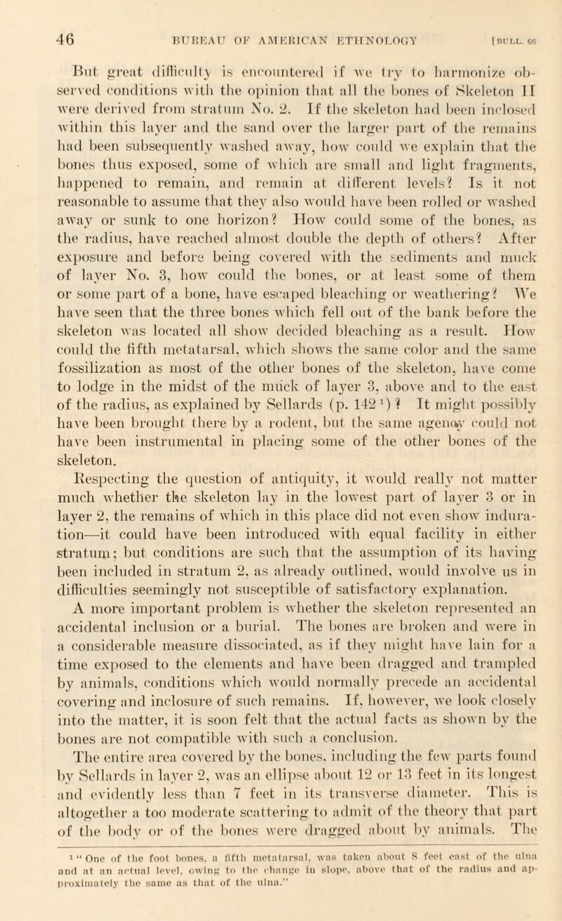 But great difficulty is encountered if we try lo harmonize ob¬ served conditions with the opinion that all the bones of Skeleton II were derived from stratum No. 2. If the skeleton had been inclosed within this layer and the sand over the larger part of the remains had been subsequently washed away, how could we explain that the bones thus exposed, some of which are small and light fragments, happened to remain, and remain at different levels? Is it not reasonable to assume that they also would have been rolled or washed away or sunk to one horizon? How could some of the bones, as the radius, have reached almost double the depth of others? After exposure and before being covered with the sediments and muck of layer No. 3, how could the bones, or at least some of them or some part of a bone, have escaped bleaching or weathering? We have seen that the three bones which fell out of the bank before the skeleton was located all show decided bleaching as a result. IIow could the fifth metatarsal, which shows the same color and the same fossilization as most of the other bones of the skeleton, have come to lodge in the midst of the muck of layer 3, above and to the east of the radius, as explained by Sellards (p. 142 ty ? It might possibly have been brought there by a rodent, but the same agenchv could not have been instrumental in placing some of the other bones of the skeleton. Respecting the question of antiquity, it would really not matter much whether the skeleton lay in the lowest part of layer 3 or in layer 2, the remains of which in this place did not even show indura¬ tion—it could have been introduced with equal facility in either stratum; but conditions are such that the assumption of its having been included in stratum 2, as already outlined, would involve us in difficulties seemingly not susceptible of satisfactory explanation. A more important problem is whether the skeleton represented an accidental inclusion or a burial. The bones are broken and were in a considerable measure dissociated, as if they might have lain for a time exposed to the elements and have been dragged and trampled by animals, conditions which would normally precede an accidental covering and inclosure of such remains. If, however, we look closely into the matter, it is soon felt that the actual facts as shown by the bones are not compatible with such a conclusion. The entire area covered by the bones, including the few parts found by Sellards in layer 2, was an ellipse about 12 or 13 feet in its longest and evidently less than 7 feet in its transverse diameter. This is altogether a too moderate scattering to admit of the theory that part of the body or of the bones were dragged about by animals. The i “ One of the foot boDes, a fifth metatarsal, was taken about 8 feet east of the ulna and at an actual level, owing to (lie change in slope, above that of the radius and ap¬ proximately the same as that of the ulna.”