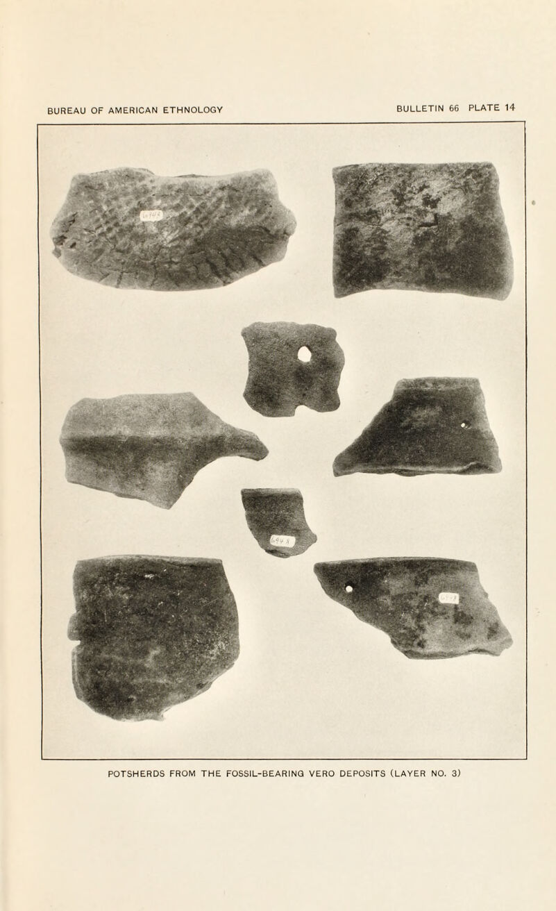 POTSHERDS FROM THE FOSSIL-BEARINQ VERO DEPOSITS (LAYER NO. 3)