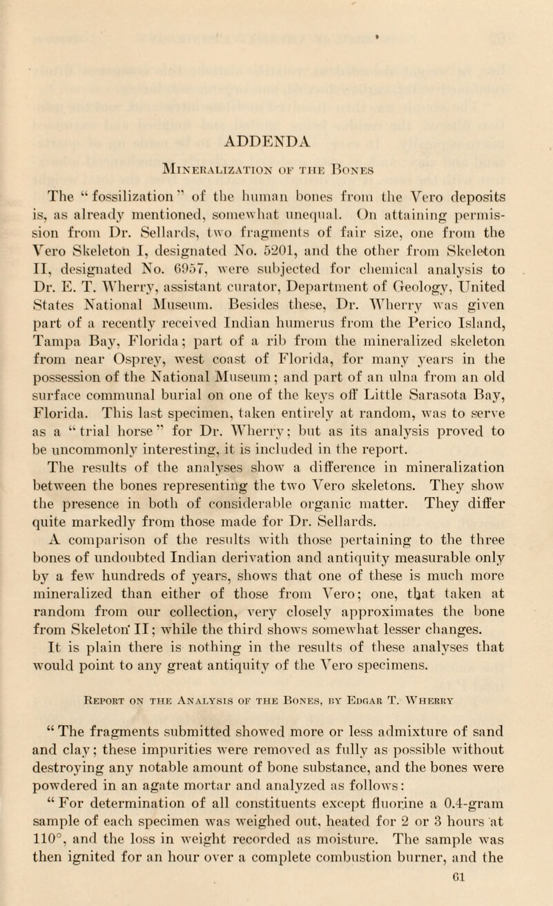 ADDENDA Mineralization of the Bones The “ fossilization ” of the human bones from the Vero deposits is, as already mentioned, somewhat unequal. On attaining permis¬ sion from Dr. Sellards, two fragments of fair size, one from the Vero Skeleton I, designated No. 5201, and the other from Skeleton II, designated No. 6957, were subjected for chemical analysis to Dr. E. T. Wherry, assistant curator, Department of Geology, United States National Museum. Besides these, Dr. Wherry was given part of a recently received Indian humerus from the Perico Island, Tampa Bay, Florida; part of a rib from the mineralized skeleton from near Osprey, west coast of Florida, for many years in the possession of the National Museum; and part of an ulna from an old surface communal burial on one of tbe keys off Little Sarasota Bay, Florida. This last specimen, taken entirely at random, was to serve as a “trial horse” for Dr. Wherry; but as its analysis proved to be uncommonly interesting, it is included in the report. The results of the analyses show a difference in mineralization between the bones representing the two Vero skeletons. They show the presence in both of considerable organic matter. They differ quite markedly from those made for Dr. Sellards. A comparison of the results with those pertaining to the three bones of undoubted Indian derivation and antiquity measurable only by a few hundreds of years, shows that one of these is much more mineralized than either of those from Vero; one, that taken at random from our collection, very closely approximates the bone from Skeleton' II; while the third shows somewhat lesser changes. It is plain there is nothing in the results of these analyses that Avould point to any great antiquity of the Vero specimens. Report on the Analysis of the Bones, by Edoar T. Wherry “ The fragments submitted showed more or less admixture of sand and clay; these impurities were removed as fully as possible without destroying any notable amount of bone substance, and the bones were powdered in an agate mortar and analyzed as follows: “For determination of all constituents except fluorine a 0.4-gram sample of each specimen was weighed out, heated for 2 or 3 hours at 110°, and the loss in weight recorded as moisture. The sample was then ignited for an hour over a complete combustion burner, and the Gl