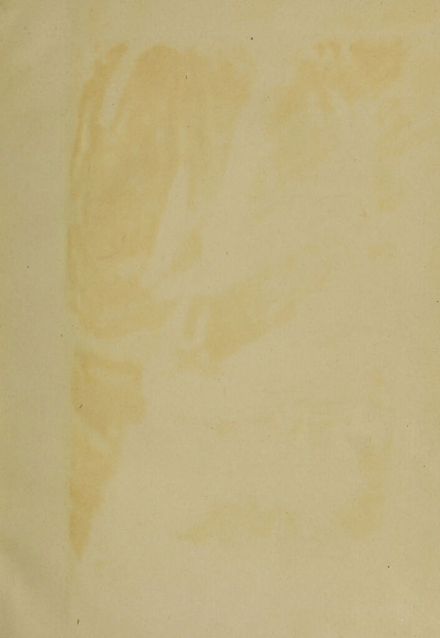digitised image 3