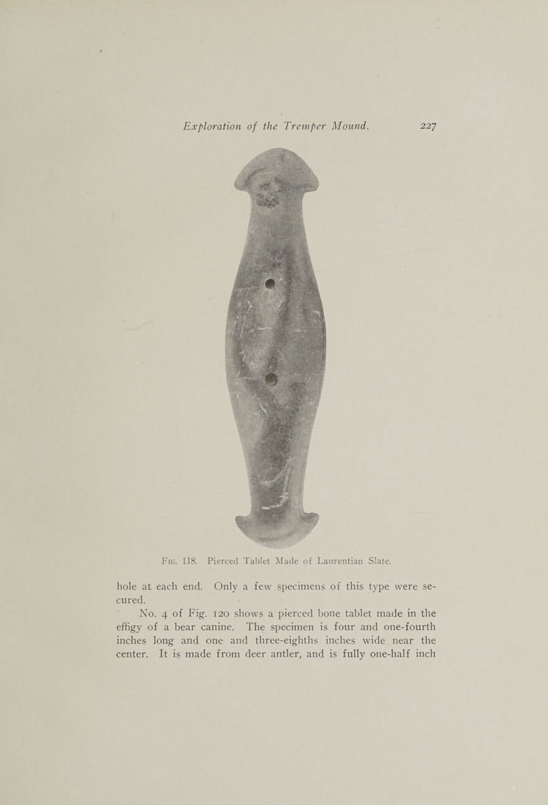 Fig. 118. Pierced Tablet Made of Lanrentian Slate. hole at each end. Only a few specimens of this type were se¬ cured. No. 4 of Fig. 120 shows a pierced bone tablet made in the effigy of a bear canine. The specimen is four and one-fourth inches long and one and three-eighths inches wide near the center. It is made from deer antler, and is fully one-half inch