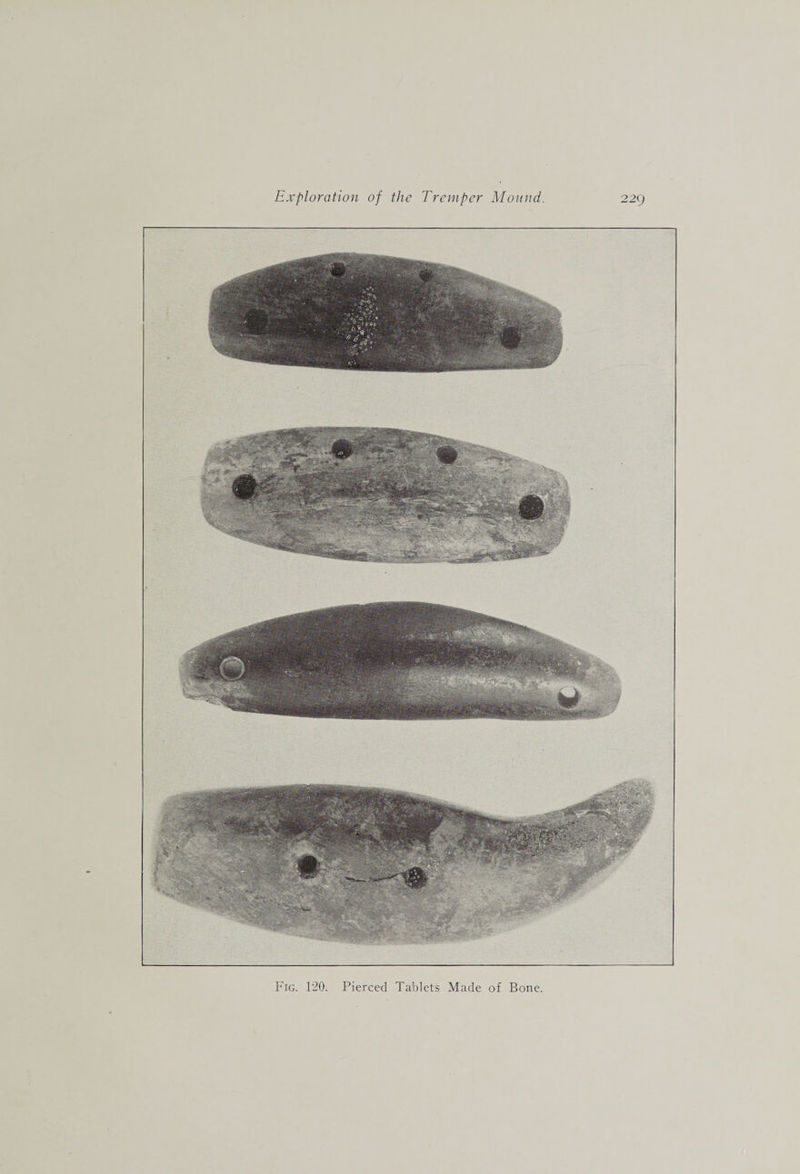 Fig. 120. Pierced Tablets Made of Bone.