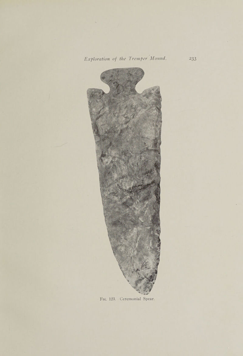 Fig. 123. Ceremonial Spear.