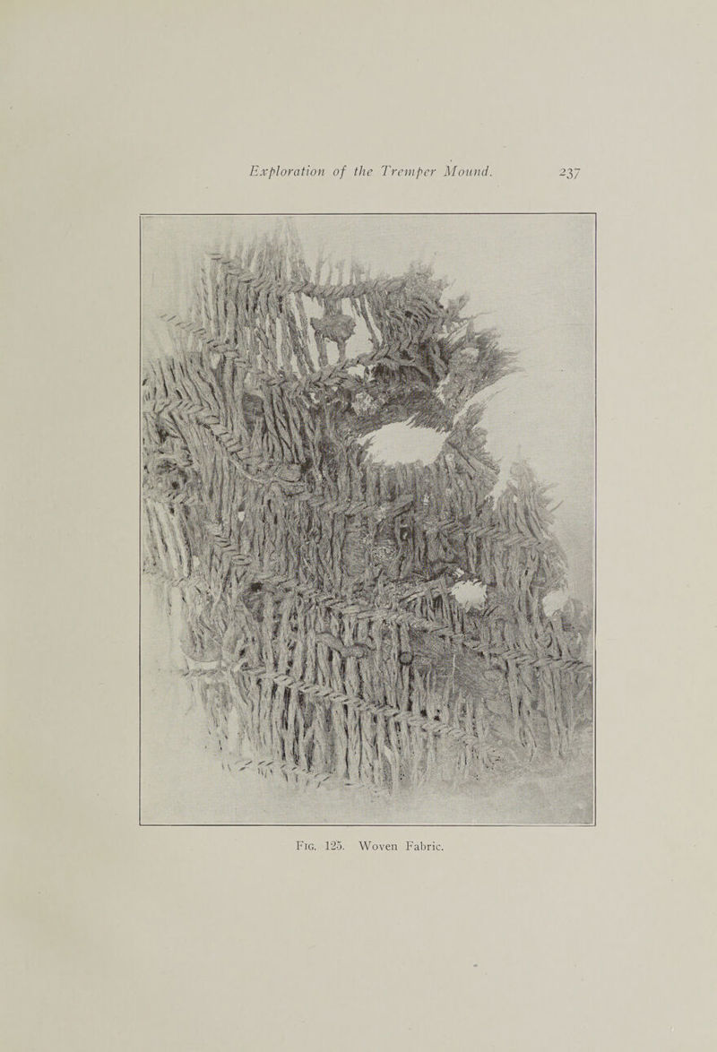 Fig. 1'25. Woven Fabric,