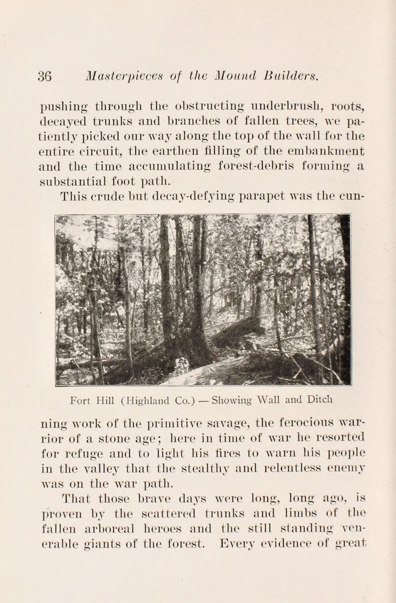 pushing through the obstructing underbrush, roots, decayed trunks and branches of fallen trees, we pa¬ tiently picked our way along the top of the wall for the entire circuit, the earthen filling of the embankment and the time accumulating forest-debris forming a substantial foot path. This crude hut decay-defying parapet was the cun- Fort Hill (Highland Co.) — Showing Wall and Ditch ning work of the primitive savage, the ferocious war¬ rior of a stone age; here in time of war he resorted for refuge and to light his fires to warn his people in the valley that the stealthy and relentless enemy was on the war path. That those brave days were long, long ago, is proven by the scattered trunks and limbs of the fallen arboreal heroes and the still standing ven¬ erable giants of the forest. Every evidence of great