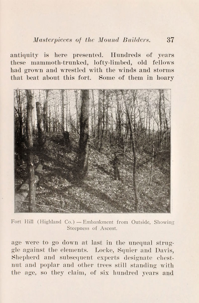 antiquity is here presented. Hundreds of years these mammoth-trunked, lofty-limbed, old fellows had grown and wrestled with the winds and storms that beat about this fort. Some of them in hoary Fort Hill (Highland Co.)—Embankment from Outside, Showing Steepness of Ascent. age were to go down at last in the unequal strug¬ gle against the elements. Locke, Sqnier and Davis, Shepherd and subsequent experts designate chest¬ nut and poplar and other trees still standing with the age, so they claim, of six hundred years and