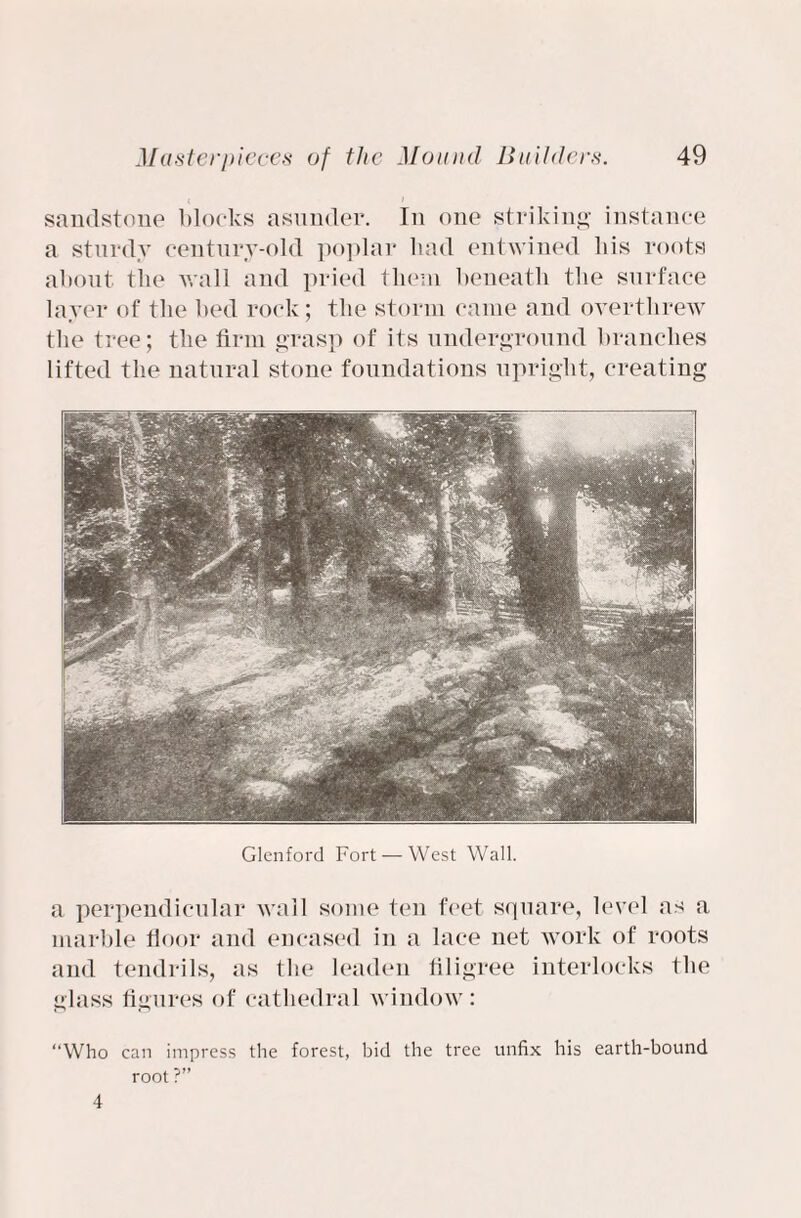 sandstone blocks asunder. In one striking instance a sturdy century-old poplar had entwined his roots about the wall and pried them beneath the surface layer of the bed rock; the storm came and overthrew the tree; the firm grasp of its underground branches lifted the natural stone foundations upright, creating Glenford Fort — West Wall. a perpendicular wall some ten feet square, level as a marble floor and encased in a lace net work of roots and tendrils, as the leaden filigree interlocks the glass figures of cathedral window: “Who can impress the forest, bid the tree unfix his earth-bound root ?” 4