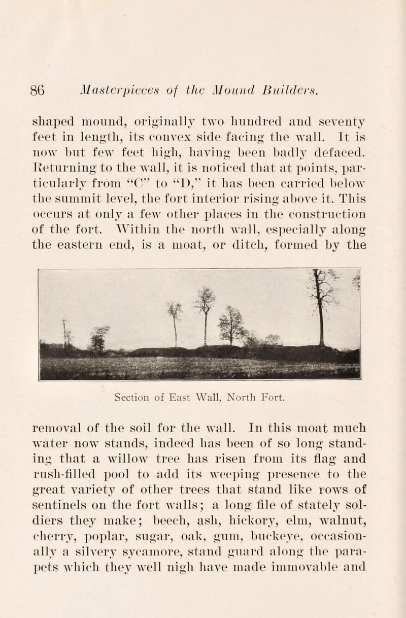 shaped mound, originally two hundred and seventy feet in length, its convex side facing the wall. It is now but few feet high, having been badly defaced. Returning to the wall, it is noticed that at points, par- the summit level, the fort interior rising above it. This occurs at only a few other places in the construction of the fort. Within the north wall, especially along the eastern end, is a moat, or ditch, formed by the Section of East Wall. North Fort. removal of the soil for the wall. In this moat much water now stands, indeed has been of so long stand¬ ing that a willow tree has risen from its flag and rush-filled pool to add its weeping presence to the great variety of other trees that stand like rows of sentinels on the fort walls; a long file of stately sol¬ diers they make; beech, ash, hickory, elm, walnut, cherry, poplar, sugar, oak, gum, buckeye, occasion¬ ally a silvery sycamore, stand guard along the para¬ pets which they well nigh have made immovable and