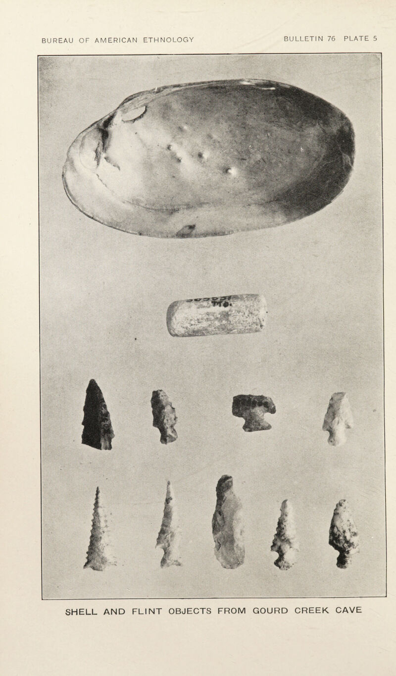 SHELL AND FLINT OBJECTS FROM GOURD CREEK CAVE