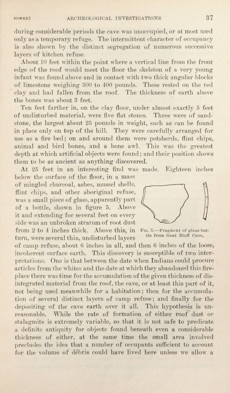 during considerable periods the cave was unoccupied, or at most used only as a temporary refuge. The intermittent character of occupancy is also shown by the distinct segregation of numerous successive layers of kitchen refuse. About 10 feet within the point where a vertical line from the front edge of the roof would meet the floor the skeleton of a very young infant was found above and in contact with two thick angular blocks made. Eighteen inches of limestone weighing 300 to 400 pounds. These rested on the red clay and had fallen from the roof. The thickness of earth above the bones was about 3 feet. Ten feet farther in, on the clay floor, under almost exactly 5 feet of undisturbed material, were five flat stones. Three were of sand¬ stone, the largest about 25 pounds in weight, such as can be found in place only on top of the hill. They were carefully arranged for use as a fire bed; on and around them were potsherds, flint chips, animal and bird bones, and a bone awl. This was the greatest depth at which artificial objects were found; and their position shows them to be as ancient as anything discovered. At 25 feet in an interesting find was below the surface of the floor, in a mass of mingled charcoal, ashes, mussel shells, flint chips, and other aboriginal refuse, was a small piece of glass, apparently part of a bottle, shown in figure 5. Above it and extending for several feet on every side was an unbroken stratum of root dust from 2 to 4 inches thick. Above this, in turn, were several thin, undisturbed layers of camp refuse, about 6 inches in all, and then 6 inches of the loose, incoherent surface earth. This discovery is susceptible of two inter¬ pretations. One is that between the date when Indians could procure articles from the whites and the date at which they abandoned this fire¬ place there was time for the accumulation of the given thickness of dis¬ integrated material from the roof, the cave, or at least this part of it, not being used meanwhile for a habitation; then for the accumula¬ tion of several distinct layers of camp refuse; and finally for the depositing of the cave earth over it all. This hypothesis is un¬ reasonable. While the rate of formation of either roof dust or stalagmite is extremely variable, so that it is not safe to predicate a definite antiquity for objects found beneath even a considerable thickness of either, at the same time the small area involved precludes the idea that a number of occupants sufficient to account for the volume of debris could have lived here unless we allow a Fig. 5.—Fragment of glassi bot¬ tle from Goat Bluff Cave,.