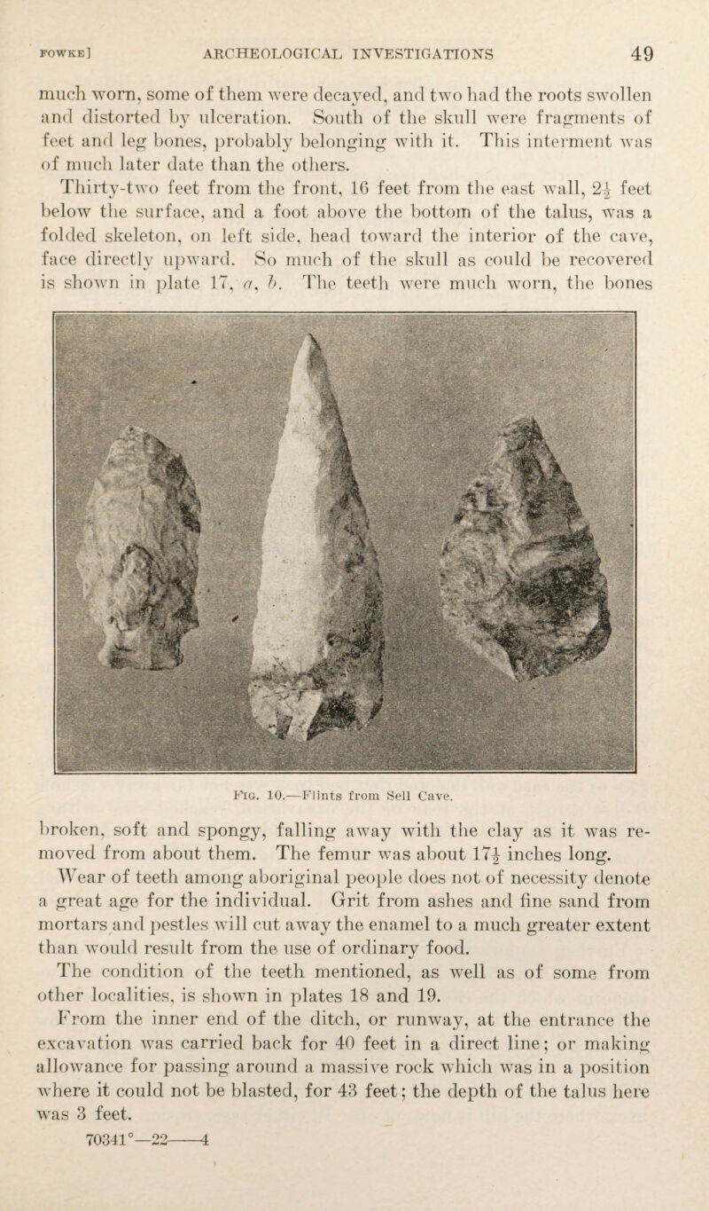 much worn, some of them were decayed, and two had the roots swollen and distorted by ulceration. South of the skull were fragments of feet and leg bones, probably belonging with it. This interment was of much later date than the others. Thirty-two feet from the front, 16 feet from the east wall, 2^ feet below the surface, and a foot above the bottom of the talus, was a folded skeleton, on left side, head toward the interior of the cave, face directly upward. So much of the skull as could be recovered is shown in plate 17, <7, b. The teeth were much worn, the bones Fig. 10.—Flints from Sell Cave. broken, soft and spongy, falling away with the clay as it was re¬ moved from about them. The femur was about 17J inches long. Wear of teeth among aboriginal people does not of necessity denote a great age for the individual. Grit from ashes and fine sand from mortars and pestles will cut away the enamel to a much greater extent than would result from the use of ordinary food. The condition of the teeth mentioned, as well as of some from other localities, is shown in plates 18 and 19. From the inner end of the ditch, or runway, at the entrance the excavation was carried back for 40 feet in a direct line; or making allowance for passing around a massive rock which was in a position where it could not be blasted, for 43 feet; the depth of the talus here was 3 feet. 70341°—22-4