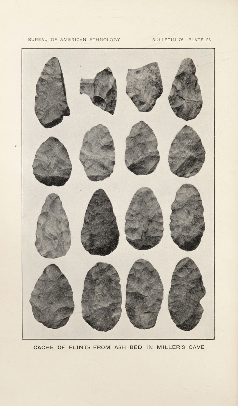 CACHE OF FLINTS FROM ASH BED IN MILLER’S CAVE