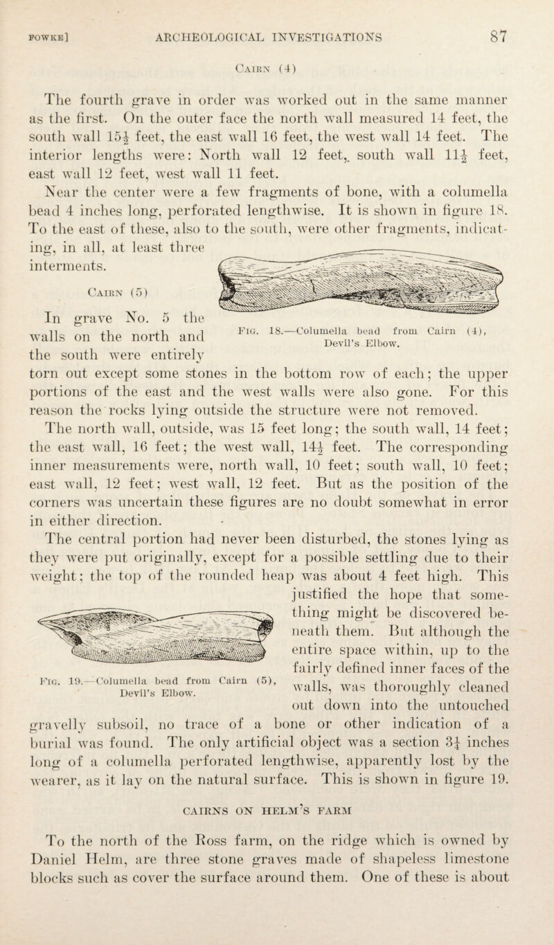 Cairn (4) The fourth grave in order was worked out in the same manner as the first. On the outer face the north wall measured 14 feet, the south wall 15^ feet, the east wall 16 feet, the west wall 14 feet. The interior lengths were: North wall 12 feet,, south wall 11^ feet, east wall 12 feet, west wall 11 feet. Near the center were a few fragments of bone, with a columella bead 4 inches long, perforated, lengthwise. It is shown in figure 18. To the east of these, also to the south, were other fragments, indicat¬ ing, in all, at least three interments. Cairn (5) Fig. 18.—Columella bead from. Cairn Devil’s Elbow. (4), In grave No. 5 the walls on the north and the south were entirely torn out except some stones in the bottom row of each; the upper portions of the east and the west walls were also gone. For this reason the rocks lying outside the structure were not removed. The north wall, outside, was 15 feet long; the south wall, 14 feet; the east wall, 16 feet; the west wall, 14^ feet. The corresponding inner measurements were, north wall, 10 feet; south wall, 10 feet; east wall, 12 feet; west wall, 12 feet. But as the position of the corners was uncertain these figures are no doubt somewhat in error in either direction. The central portion had never been disturbed, the stones lying as they were put originally, except for a possible settling due to their weight; the top of the rounded heap was about 4 feet high. This justified the hope that some¬ thing might be discovered be¬ neath them. But although the entire space within, up to the fairly defined inner faces of the walls, was thoroughly cleaned out down into the untouched gravelly subsoil, no trace of a bone or other indication of a burial was found. The only artificial object was a section 3J inches long of a columella perforated lengthwise, apparently lost by the wearer, as it lay on the natural surface. This is shown in figure 19. Fig. 19.- -Columella bead from Cairn (5), Devil’s Elbow. CAIRNS ON HELM’S FARM To the north of the Boss farm, on the ridge which is owned by Daniel Helm, are three stone graves made of shapeless limestone blocks such as cover the surface around them. One of these is about