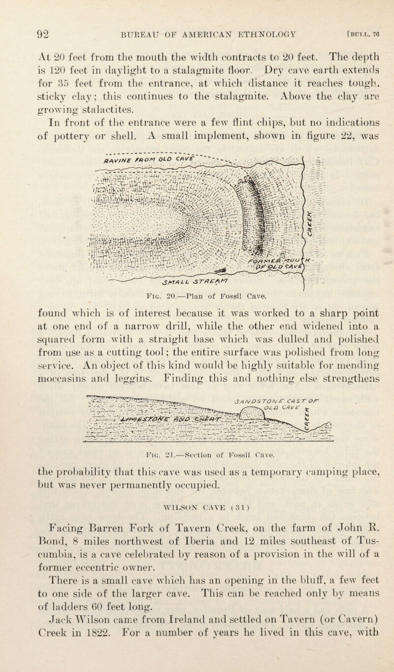 At 20 feet from the mouth the width contracts to 20 feet. The depth is 120 feet in daylight to a stalagmite floor. Dry cave earth extends for 35 feet from the entrance, at which distance it reaches tough, sticky clay; this continues to the stalagmite. Above the clay are growing stalactites. In front of the entrance were a few flint chips, but no indications of pottery or shell. A small implement, shown in figure 22, was found which is of interest because it was worked to a sharp point at one end of a narrow drill, while the other end widened into a squared form with a straight base which was dulled and polished from use as a cutting tool; the entire surface was polished from long service. An object of this kind would be highly suitable for mending moccasins and leggins. Finding this and nothing else strengthens Fig. 21.—Section of Fossil Cave. the probability that this cave was used as a temporary camping place, but was never permanently occupied. WILSON CAVE (31) Facing Barren Fork of Tavern Creek, on the farm of John B. Bond, 8 miles northwest of Iberia and 12 miles southeast of Tus- cumbia, is a cave celebrated by reason of a provision in the will of a former eccentric owner. There is a small cave which has an opening in the bluff, a few feet to one side of the larger cave. This can be reached only by means of ladders 60 feet long. Jack Wilson came from Ireland and settled on Tavern (or Cavern) Creek in 1822. For a number of years he lived in this cave, with