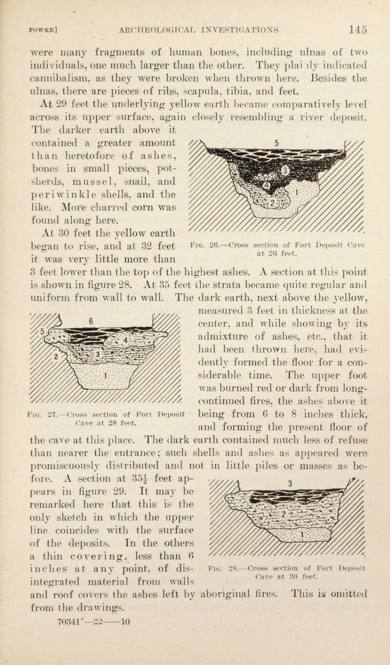 Fig. 26.—Cross section of Fort Deposit Cave at 26 feet. were many fragments of human bones, including ulnas of two individuals, one much larger than the other. They plai dy indicated cannibalism, as they were broken when thrown here. Besides the ulnas, there are pieces of ribs, scapula, tibia, and feet. At 29 feet the underlying yellow earth became comparatively level across its upper surface, again closely resembling a river deposit. The darker earth above it contained a greater amount than heretofore of ashes, bones in small pieces, pot¬ sherds, mussel, snail, and periwinkle shells, and the like. More charred corn was found along here. At 30 feet the yellow earth began to rise, and at 32 feet it was very little more than 3 feet lower than the top of the highest ashes. A section at this point is shown in figure 28. At 35 feet the strata became quite regular and uniform from wall to wall. The dark earth, next above the yellow, measured 3 feet in thickness at the center, and while showing by its admixture of ashes, etc., that it had been thrown here, had evi¬ dently formed the floor for a con- siderable time. The upper foot was burned red or dark from long- continued fires, the ashes above it being from 6 to 8 inches thick, and forming the present floor of the cave at this place. The dark earth contained much less of refuse than nearer the entrance; such shells and ashes as appeared were promiscuously distributed and not in little piles or masses as be¬ fore. A section at 35^ feet ap¬ pears in figure 29. It may be remarked here that this is the only sketch in which the upper line coincides with the surface of the deposits. In the others a thin covering, less than 6 inches at any point, of dis¬ integrated material from walls and roof covers the ashes left by aboriginal fires. This is omitted from the drawings. Fig. 27.- -Cross section of Fort Deposit Cave at 28 feet. 70341°—22- -10