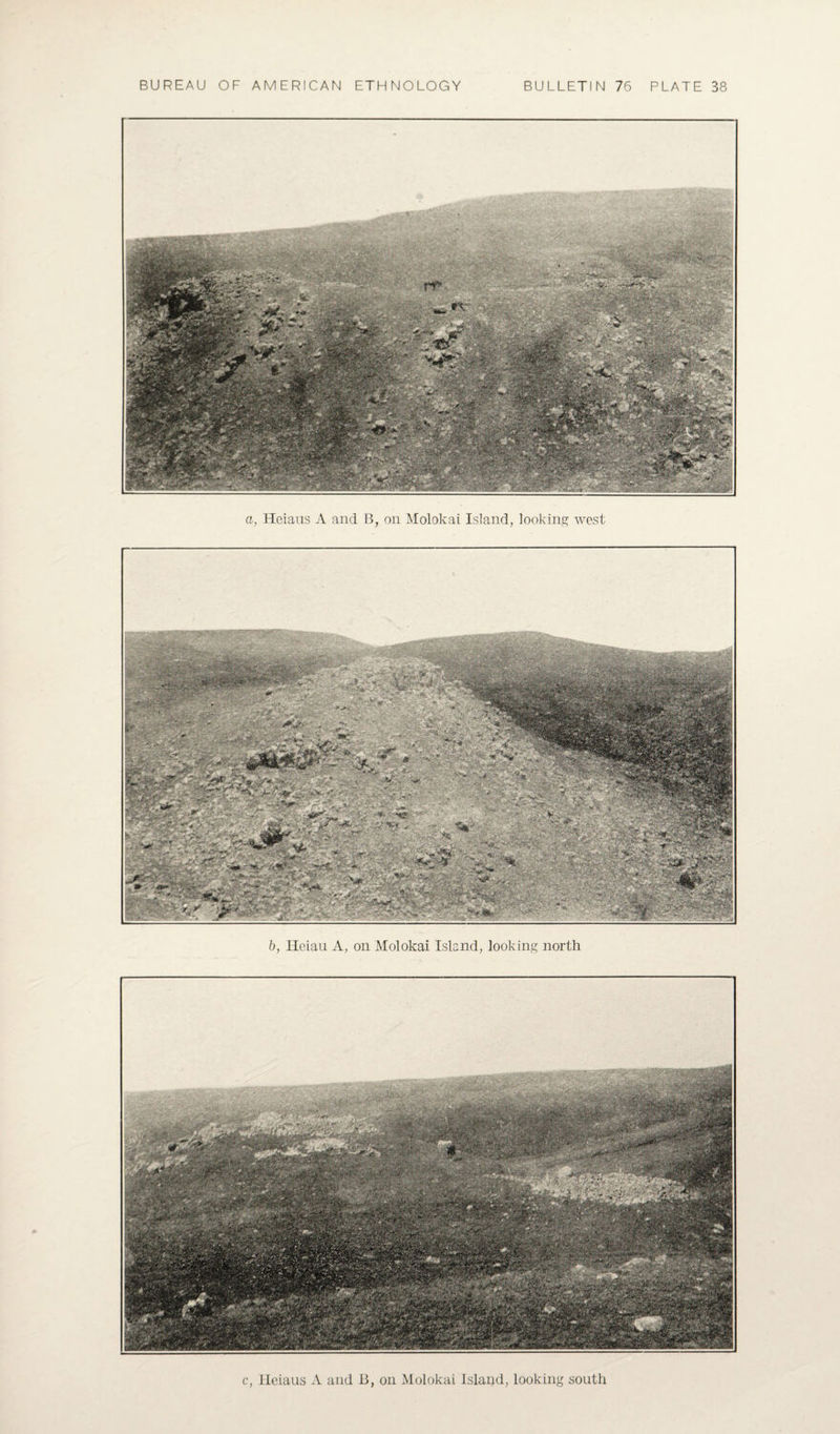 a, Heiaus A and B, on Molokai Island, looking west c, Ilciaus A and B, on Molokai Island, looking south