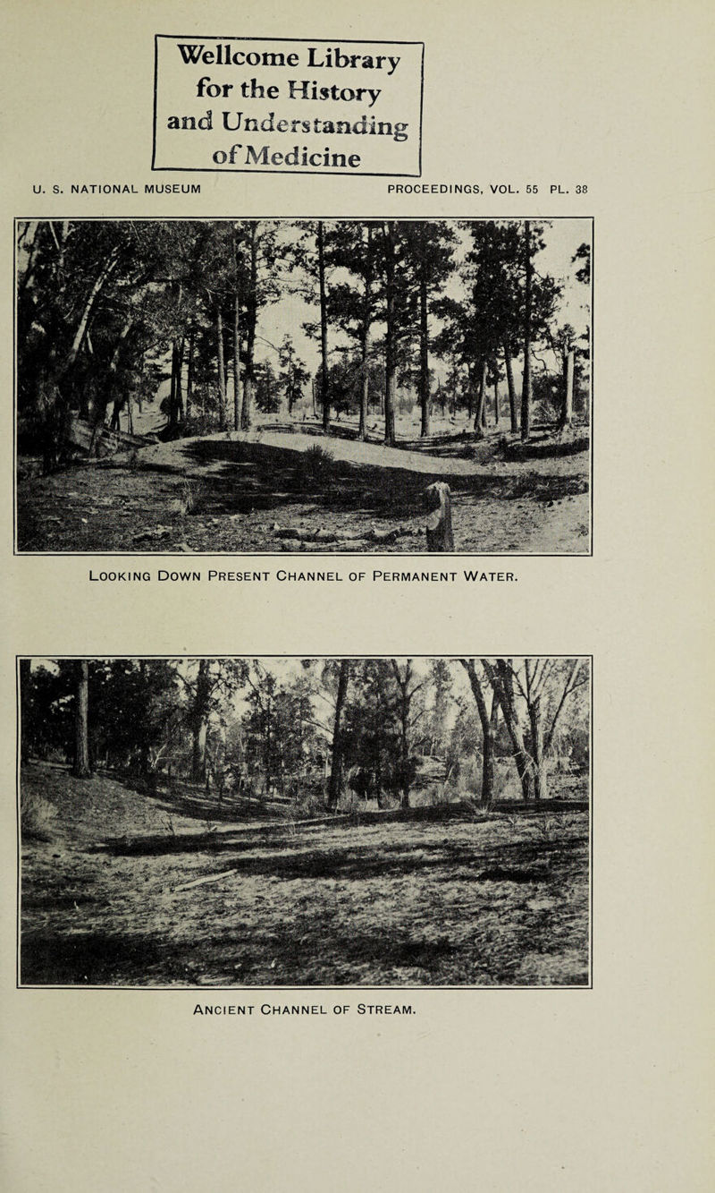 Wellcome Library for the History and Understanding of Medicine U. S. NATIONAL MUSEUM PROCEEDINGS, VOL. 55 PL. 38 Looking Down Present Channel of Permanent Water. Ancient Channel of Stream