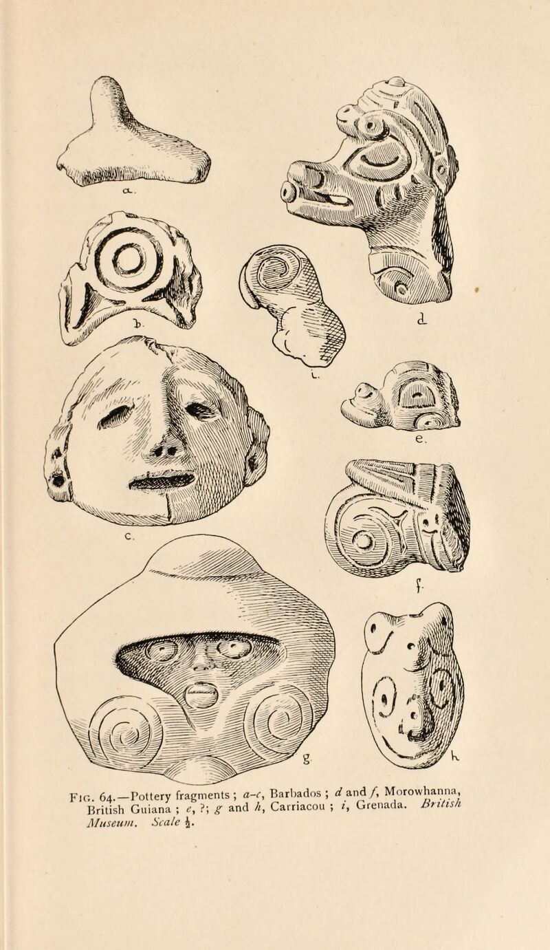 Fjo. 64.—Pottery fragments; a-c, Barbados ; (/and f, Morowhanna, British Guiana ; e, ?; g and h, Carriacou ; i, Grenada. British Museum. Scale 4.