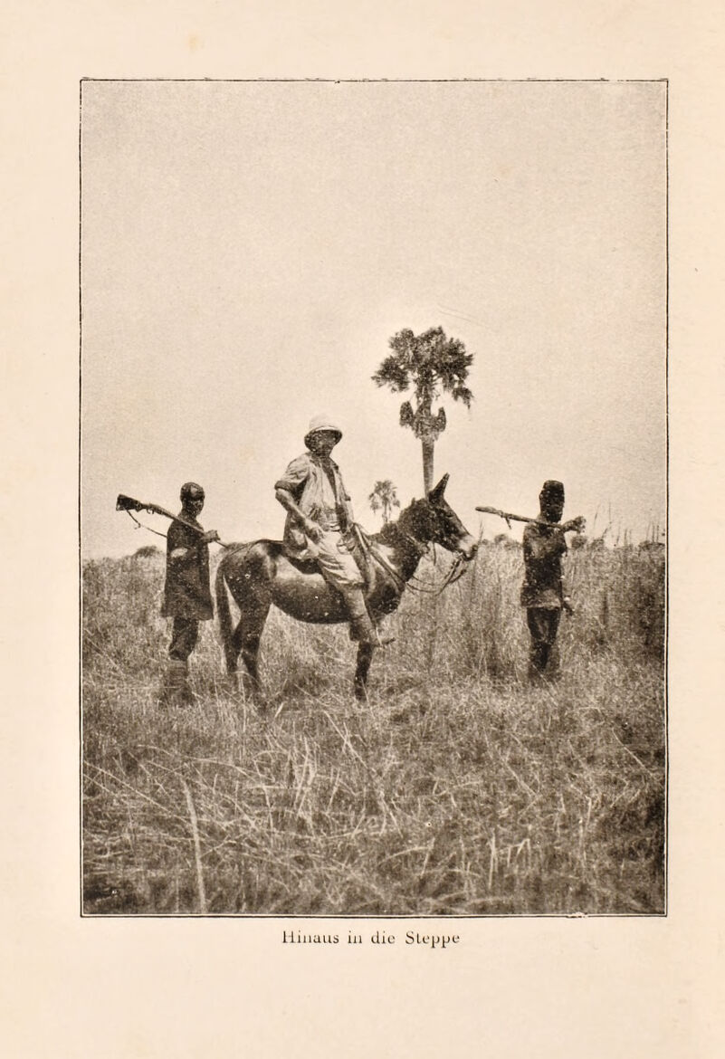 Hinaus in die Steppe