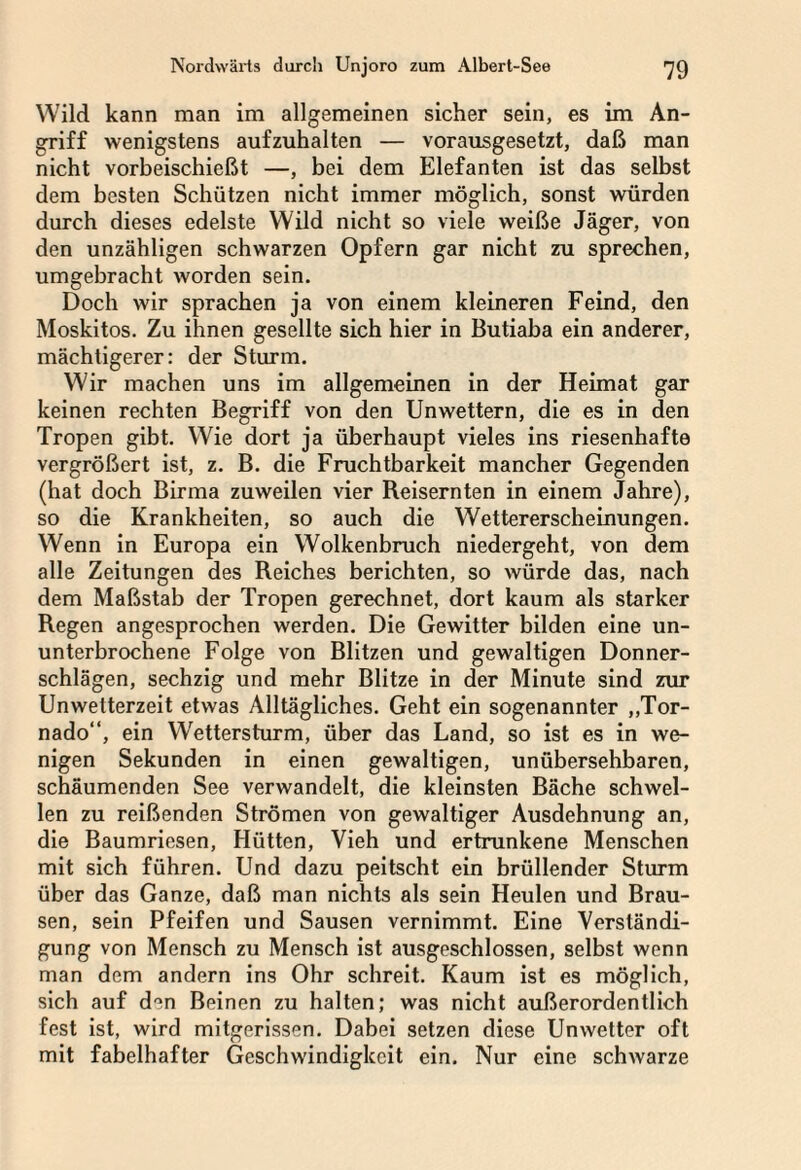 Wild kann man im allgemeinen sicher sein, es im An¬ griff wenigstens aufzuhalten — vorausgesetzt, daß man nicht vorbeischießt —, bei dem Elefanten ist das selbst dem besten Schützen nicht immer möglich, sonst würden durch dieses edelste Wild nicht so viele weiße Jäger, von den unzähligen schwarzen Opfern gar nicht zu sprechen, umgebracht worden sein. Doch wir sprachen ja von einem kleineren Feind, den Moskitos. Zu ihnen gesellte sich hier in Butiaba ein anderer, mächtigerer: der Sturm. Wir machen uns im allgemeinen in der Heimat gar keinen rechten Begriff von den Unwettern, die es in den Tropen gibt. Wie dort ja überhaupt vieles ins riesenhafte vergrößert ist, z. B. die Fruchtbarkeit mancher Gegenden (hat doch Birma zuweilen vier Reisernten in einem Jahre), so die Krankheiten, so auch die Wettererscheinungen. Wenn in Europa ein Wolkenbruch niedergeht, von dem alle Zeitungen des Reiches berichten, so würde das, nach dem Maßstab der Tropen gerechnet, dort kaum als starker Regen angesprochen werden. Die Gewitter bilden eine un¬ unterbrochene Folge von Blitzen und gewaltigen Donner¬ schlägen, sechzig und mehr Blitze in der Minute sind zur Unwetterzeit etwas Alltägliches. Geht ein sogenannter „Tor¬ nado“, ein Wettersturm, über das Land, so ist es in we¬ nigen Sekunden in einen gewaltigen, unübersehbaren, schäumenden See verwandelt, die kleinsten Bäche schwel¬ len zu reißenden Strömen von gewaltiger Ausdehnung an, die Baumriesen, Hütten, Vieh und ertrunkene Menschen mit sich führen. Und dazu peitscht ein brüllender Sturm über das Ganze, daß man nichts als sein Heulen und Brau¬ sen, sein Pfeifen und Sausen vernimmt. Eine Verständi¬ gung von Mensch zu Mensch ist ausgeschlossen, selbst wenn man dem andern ins Ohr schreit. Kaum ist es möglich, sich auf den Beinen zu halten; was nicht außerordentlich fest ist, wird mitgerissen. Dabei setzen diese Unwetter oft mit fabelhafter Geschwindigkeit ein. Nur eine schwarze