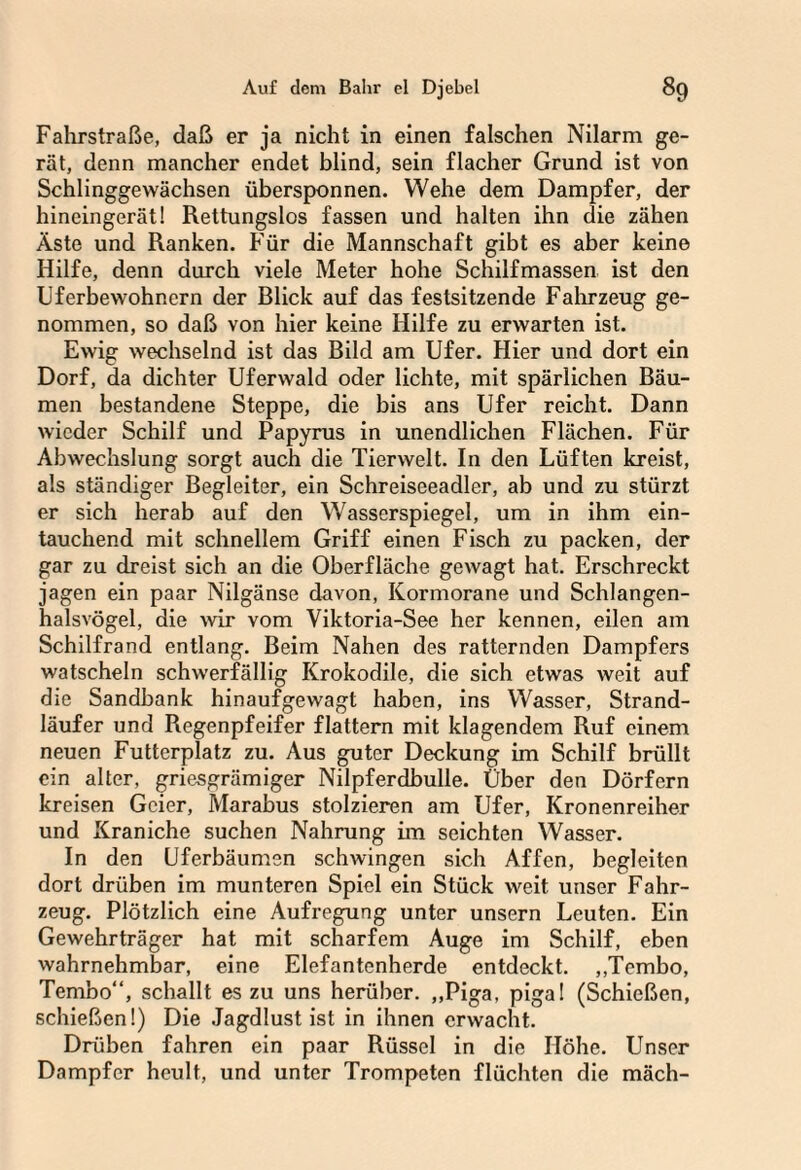 Fahrstraße, daß er ja nicht in einen falschen Nilarm ge¬ rät, denn mancher endet blind, sein flacher Grund ist von Schlinggewächsen übersponnen. Wehe dem Dampfer, der hineingerät! Rettungslos fassen und halten ihn die zähen Äste und Ranken. Für die Mannschaft gibt es aber keine Hilfe, denn durch viele Meter hohe Schilfmassen ist den Uferbewohnern der Blick auf das festsitzende Fahrzeug ge¬ nommen, so daß von hier keine Hilfe zu erwarten ist. Ewig wechselnd ist das Bild am Ufer. Hier und dort ein Dorf, da dichter Uferwald oder lichte, mit spärlichen Bäu¬ men bestandene Steppe, die bis ans Ufer reicht. Dann wieder Schilf und Papyrus in unendlichen Flächen. Für Abwechslung sorgt auch die Tierwelt. In den Lüften kreist, als ständiger Begleiter, ein Schreiseeadler, ab und zu stürzt er sich herab auf den Wasserspiegel, um in ihm ein¬ tauchend mit schnellem Griff einen Fisch zu packen, der gar zu dreist sich an die Oberfläche gewagt hat. Erschreckt jagen ein paar Nilgänse davon, Kormorane und Schlangen¬ halsvögel, die wir vom Viktoria-See her kennen, eilen am Schilfrand entlang. Beim Nahen des ratternden Dampfers watscheln schwerfällig Krokodile, die sich etwas weit auf die Sandbank hinaufgewagt haben, ins Wasser, Strand¬ läufer und Regenpfeifer flattern mit klagendem Ruf einem neuen Futterplatz zu. Aus guter Deckung im Schilf brüllt ein alter, griesgrämiger Nilpferdbulle. Über den Dörfern kreisen Geier, Marabus stolzieren am Ufer, Kronenreiher und Kraniche suchen Nahrung im seichten Wasser. In den Uferbäumen schwingen sich Affen, begleiten dort drüben im munteren Spiel ein Stück weit unser Fahr¬ zeug. Plötzlich eine Aufregung unter unsern Leuten. Ein Gewehrträger hat mit scharfem Auge im Schilf, eben wahrnehmbar, eine Elefantenherde entdeckt. „Tembo, Tembo“, schallt es zu uns herüber. „Piga, piga I (Schießen, schießen!) Die Jagdlust ist in ihnen erwacht. Drüben fahren ein paar Rüssel in die Höhe. Unser Dampfer heult, und unter Trompeten flüchten die mäch-