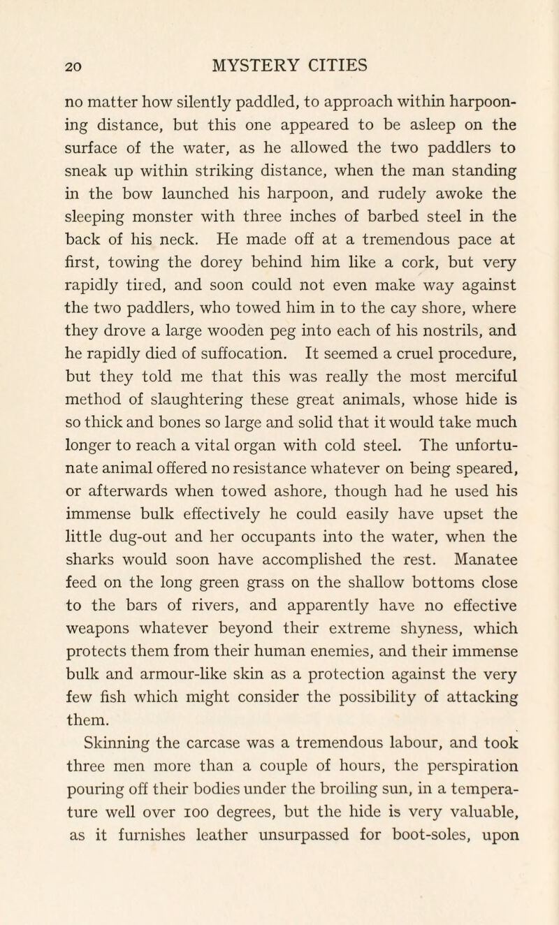 no matter how silently paddled, to approach within harpoon¬ ing distance, but this one appeared to be asleep on the surface of the water, as he allowed the two paddlers to sneak up within striking distance, when the man standing in the bow launched his harpoon, and rudely awoke the sleeping monster with three inches of barbed steel in the back of his neck. He made off at a tremendous pace at first, towing the dorey behind him like a cork, but very rapidly tired, and soon could not even make way against the two paddlers, who towed him in to the cay shore, where they drove a large wooden peg into each of his nostrils, and he rapidly died of suffocation. It seemed a cruel procedure, but they told me that this was really the most merciful method of slaughtering these great animals, whose hide is so thick and bones so large and solid that it would take much longer to reach a vital organ with cold steel. The unfortu¬ nate animal offered no resistance whatever on being speared, or afterwards when towed ashore, though had he used his immense bulk effectively he could easily have upset the little dug-out and her occupants into the water, when the sharks would soon have accomplished the rest. Manatee feed on the long green grass on the shallow bottoms close to the bars of rivers, and apparently have no effective weapons whatever beyond their extreme shyness, which protects them from their human enemies, and their immense bulk and armour-like skin as a protection against the very few fish which might consider the possibility of attacking them. Skinning the carcase was a tremendous labour, and took three men more than a couple of hours, the perspiration pouring off their bodies under the broiling sun, in a tempera¬ ture well over ioo degrees, but the hide is very valuable, as it furnishes leather unsurpassed for boot-soles, upon