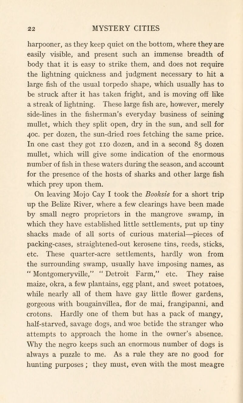 harpooner, as they keep quiet on the bottom, where they are easily visible, and present such an immense breadth of body that it is easy to strike them, and does not require the lightning quickness and judgment necessary to hit a large fish of the usual torpedo shape, which usually has to be struck after it has taken fright, and is moving off like a streak of lightning. These large fish are, however, merely side-lines in the fisherman’s everyday business of seining mullet, which they split open, dry in the sun, and sell for 40c. per dozen, the sun-dried roes fetching the same price. In one cast they got no dozen, and in a second 85 dozen mullet, which will give some indication of the enormous number of fish in these waters during the season, and account for the presence of the hosts of sharks and other large fish which prey upon them. On leaving Mojo Cay I took the Booksie for a short trip up the Belize River, where a few clearings have been made by small negro proprietors in the mangrove swamp, in which they have established little settlements, put up tiny shacks made of all sorts of curious material—pieces of packing-cases, straightened-out kerosene tins, reeds, sticks, etc. These quarter-acre settlements, hardly won from the surrounding swamp, usually have imposing names, as “ Montgomeryville,” “ Detroit Farm,” etc. They raise maize, okra, a few plantains, egg plant, and sweet potatoes, while nearly all of them have gay little flower gardens, gorgeous with bougainvillea, flor de mai, frangipanni, and crotons. Hardly one of them but has a pack of mangy, half-starved, savage dogs, and woe betide the stranger who attempts to approach the home in the owner's absence. Why the negro keeps such an enormous number of dogs is always a puzzle to me. As a rule they are no good for hunting purposes; they must, even with the most meagre