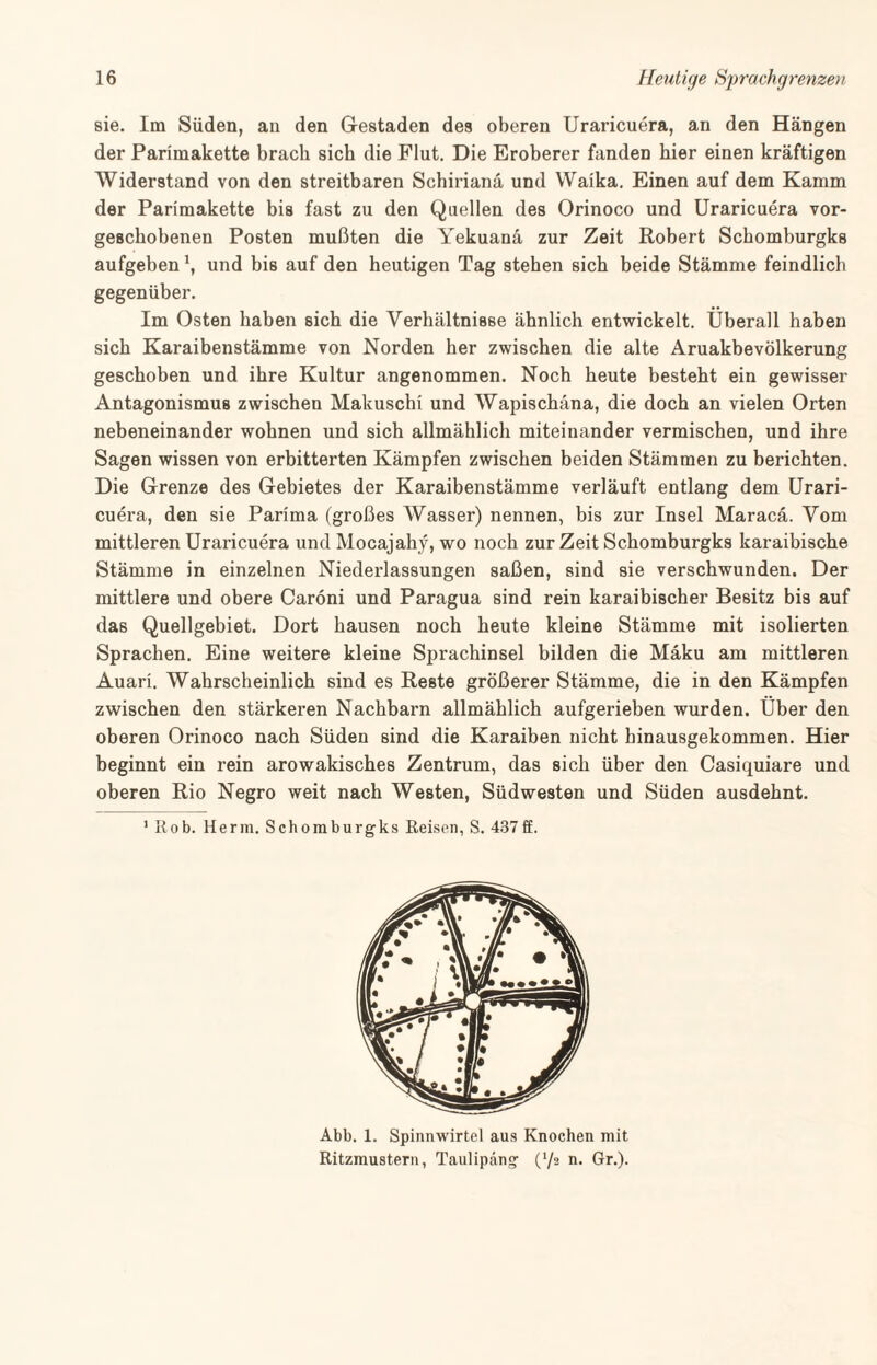 sie. Im Süden, an den Gestaden des oberen Uraricuera, an den Hängen der Parimakette brach sich die Flut. Die Eroberer fanden hier einen kräftigen Widerstand von den streitbaren Schirianä und Waika. Einen auf dem Kamm der Parimakette bis fast zu den Quellen des Orinoco und Uraricuera vor¬ geschobenen Posten mußten die Yekuanä zur Zeit Robert Schomburgks aufgeben \ und bis auf den heutigen Tag stehen sich beide Stämme feindlich gegenüber. Im Osten haben sich die Verhältnisse ähnlich entwickelt. Überall haben sich Karaibenstämme von Norden her zwischen die alte Aruakbevölkerung geschoben und ihre Kultur angenommen. Noch heute besteht ein gewisser Antagonismus zwischen Makuschi und Wapischäna, die doch an vielen Orten nebeneinander wohnen und sich allmählich miteinander vermischen, und ihre Sagen wissen von erbitterten Kämpfen zwischen beiden Stämmen zu berichten. Die Grenze des Gebietes der Karaibenstämme verläuft entlang dem Urari¬ cuera, den sie Parima (großes Wasser) nennen, bis zur Insel Maracä. Vom mittleren Uraricuera undMocajahy, wo noch zur Zeit Schomburgks karaibische Stämme in einzelnen Niederlassungen saßen, sind sie verschwunden. Der mittlere und obere Caroni und Paragua sind rein karaibischer Besitz bis auf das Quellgebiet. Dort hausen noch heute kleine Stämme mit isolierten Sprachen. Eine weitere kleine Sprachinsel bilden die Mäku am mittleren Auari. Wahrscheinlich sind es Reste größerer Stämme, die in den Kämpfen zwischen den stärkeren Nachbarn allmählich aufgerieben wurden. Uber den oberen Orinoco nach Süden sind die Karaiben nicht binausgekommen. Hier beginnt ein rein arowakisches Zentrum, das sich über den Casiquiare und oberen Rio Negro weit nach Westen, Südwesten und Süden ausdehnt. 1 Rob. Herrn. Schomburgks Reisen, S. 437ff. Abb. 1. Spinnwirtel aus Knochen mit Ritzmustern, Taulipäng (‘/a n. Gr.).