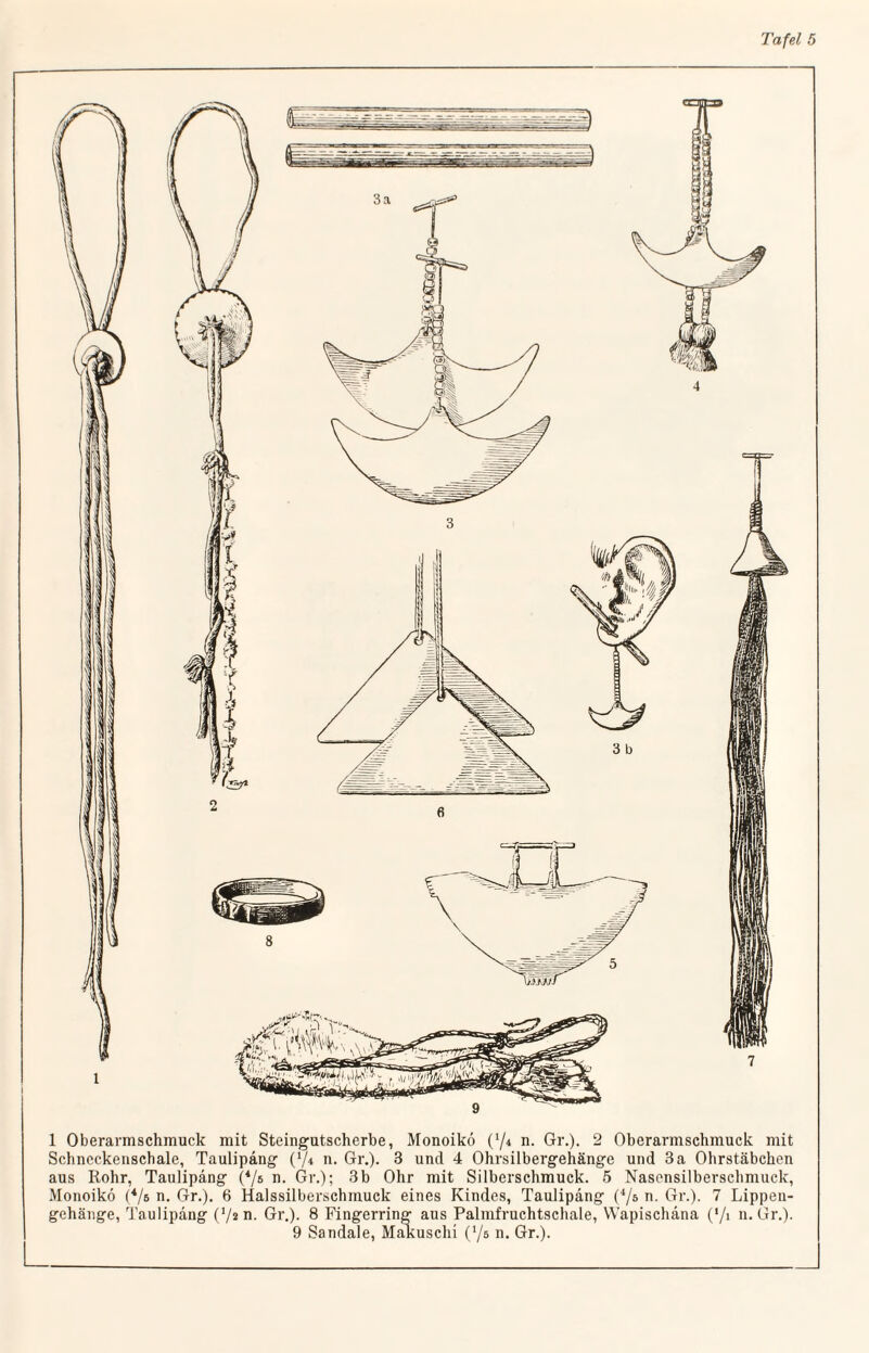 1 Oberarmschmuck mit Steingutscherbe, Monoiko O/4 n. Gr.). 2 Oberarmschmuck mit Schneckenschale, Taulipäng (l/* n. Gr.). 3 und 4 Ohrsilbergehänge und 3 a Ohrstäbchen aus Rohr, Taulipäng (4/s n. Gr.); 3b Ohr mit Silberschmuck. 5 Nasensilberschmuck, Monoiko (4/b n. Gr.). 6 Halssilberschmuck eines Kindes, Taulipäng (4/s n. Gr.). 7 Lippen¬ gehänge, Taulipäng (’/i n. Gr.). 8 Fingerring aus Palmfruchtschale, Wapischäna (*/i n. Gr.). 9 Sandale, Makuscln (‘/s n. Gr.).